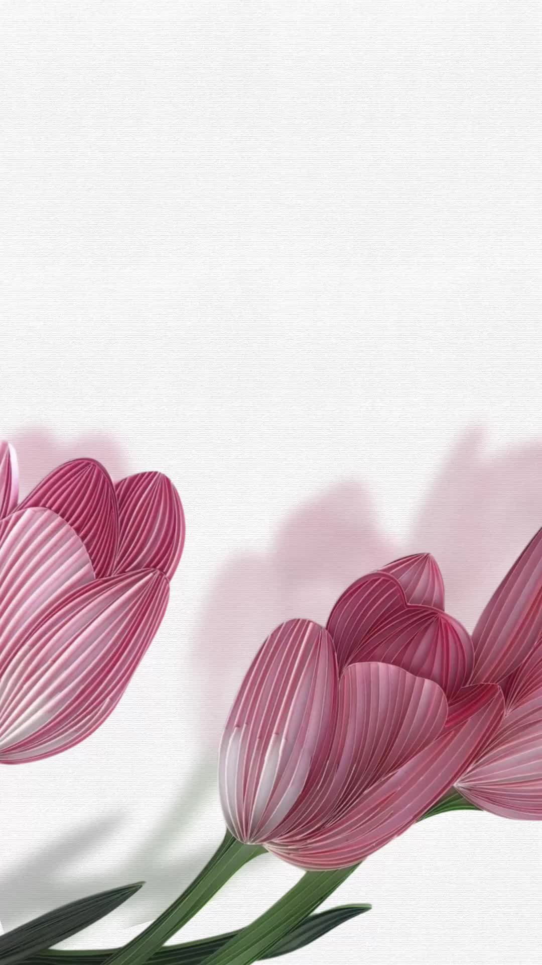 @خدمات مدرسية - دعوات || ML