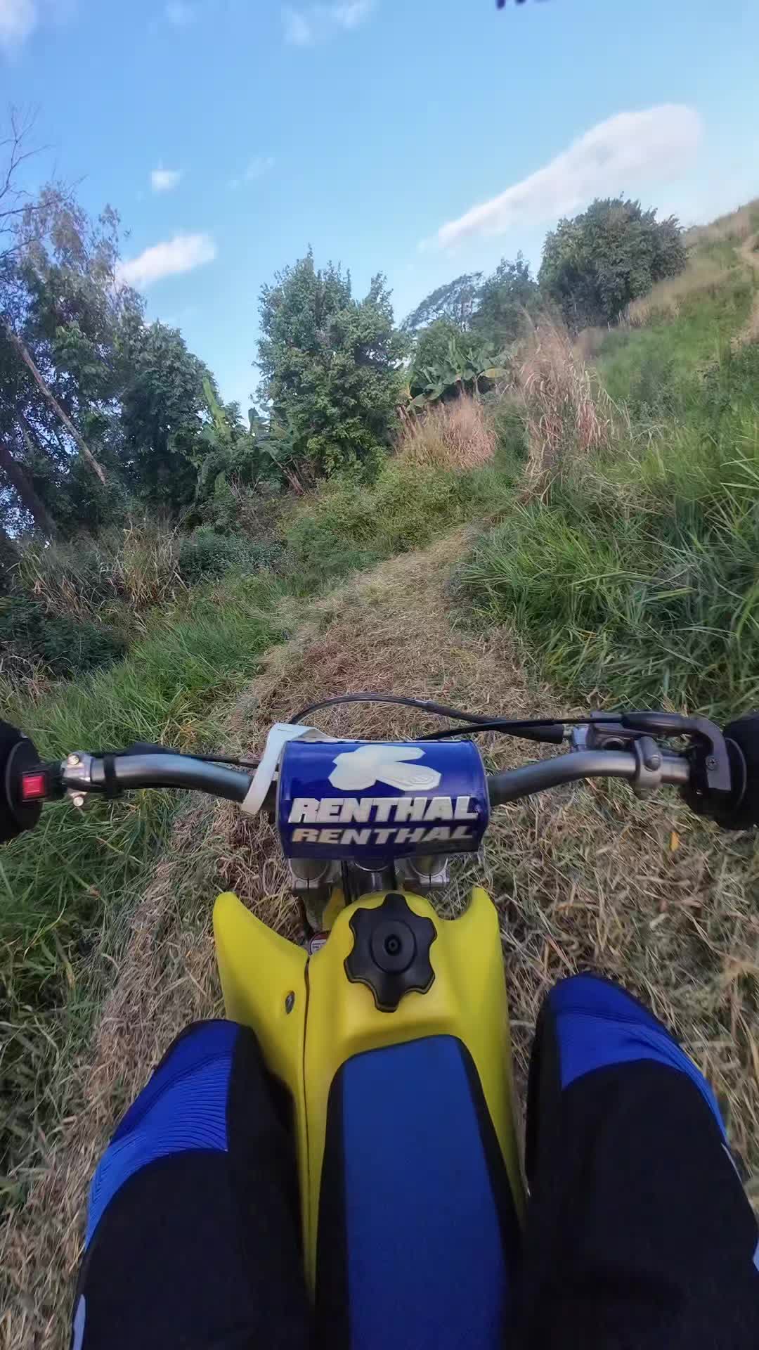 @rmz85/450