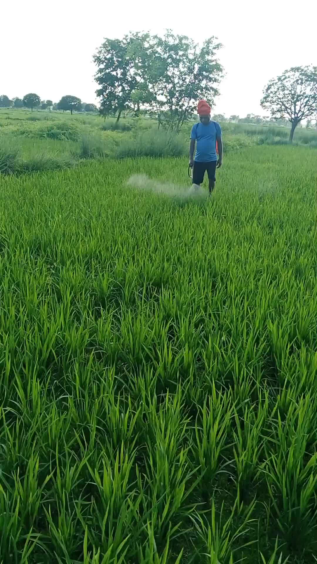 @Basdev Pasi