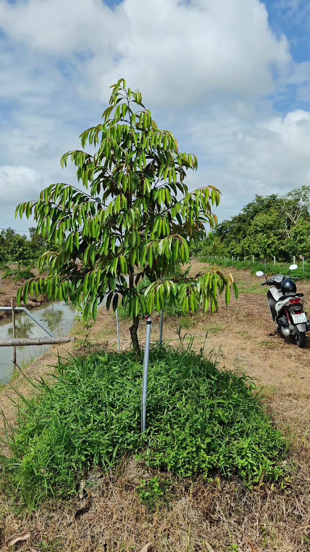 @Bất Động Sản Cần Thơ