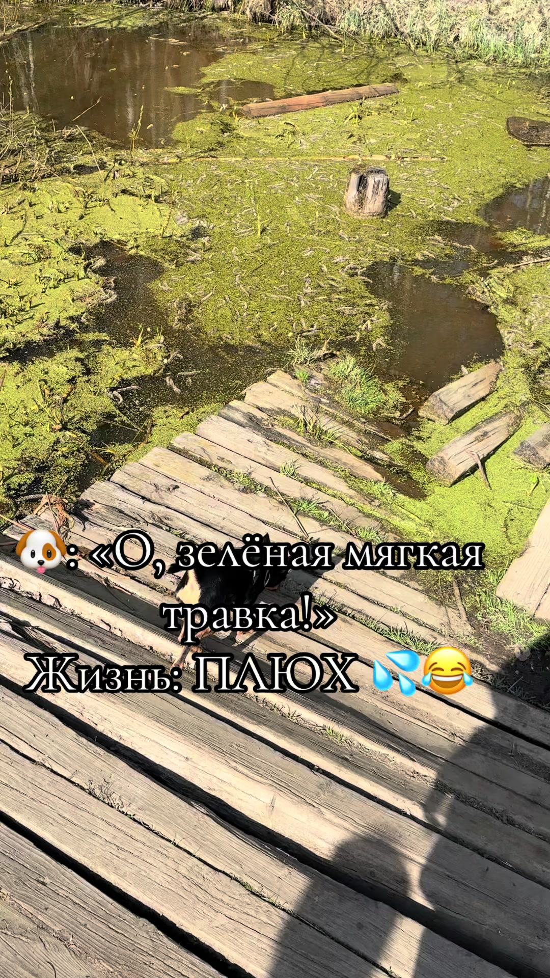 @Евгения