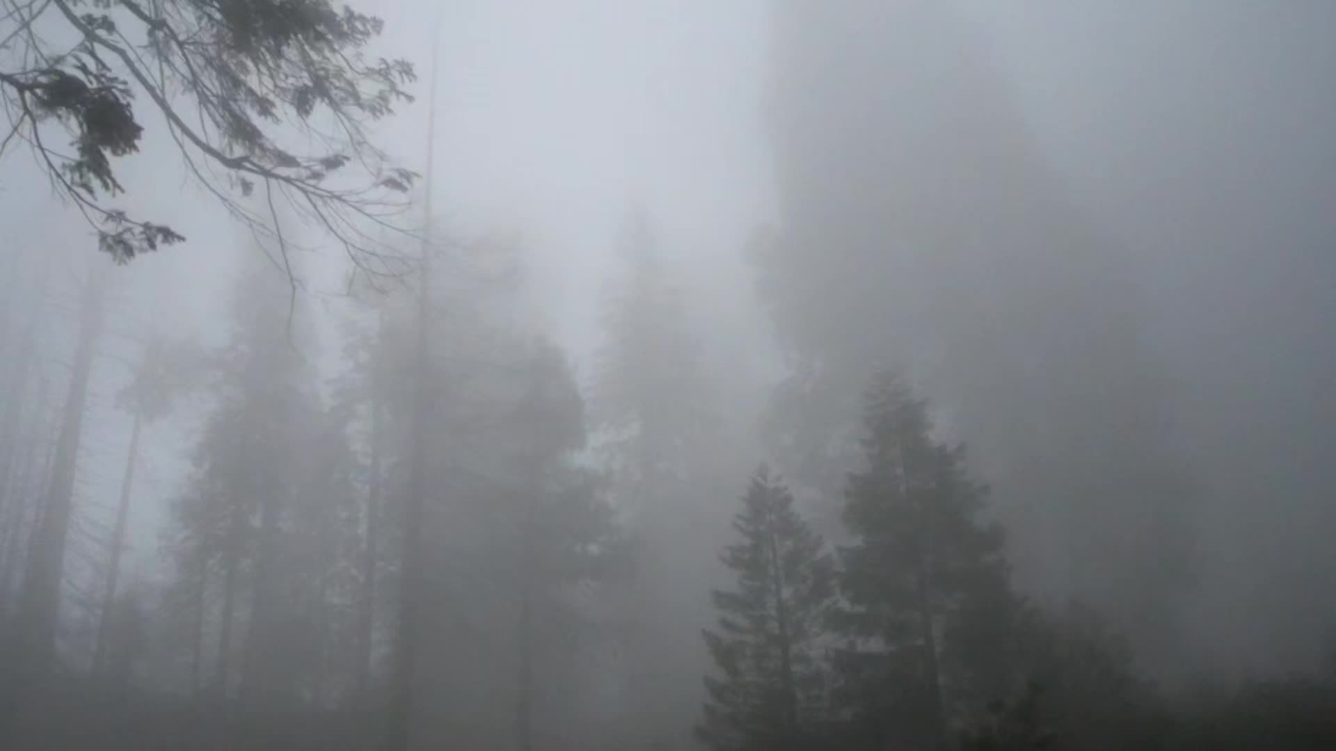 @ᴀᴍᴏʀᴀ