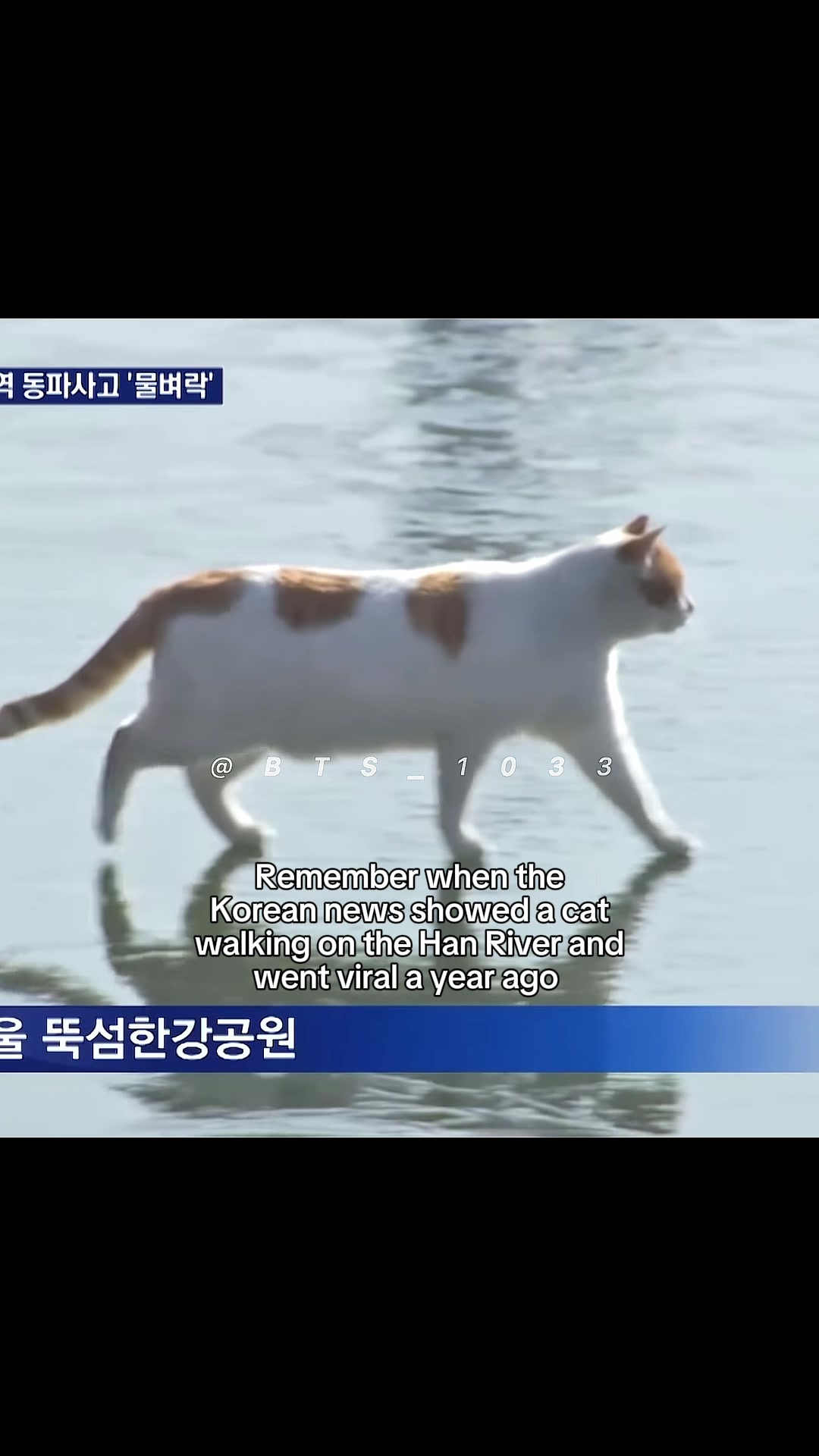 @Jiminspogostick