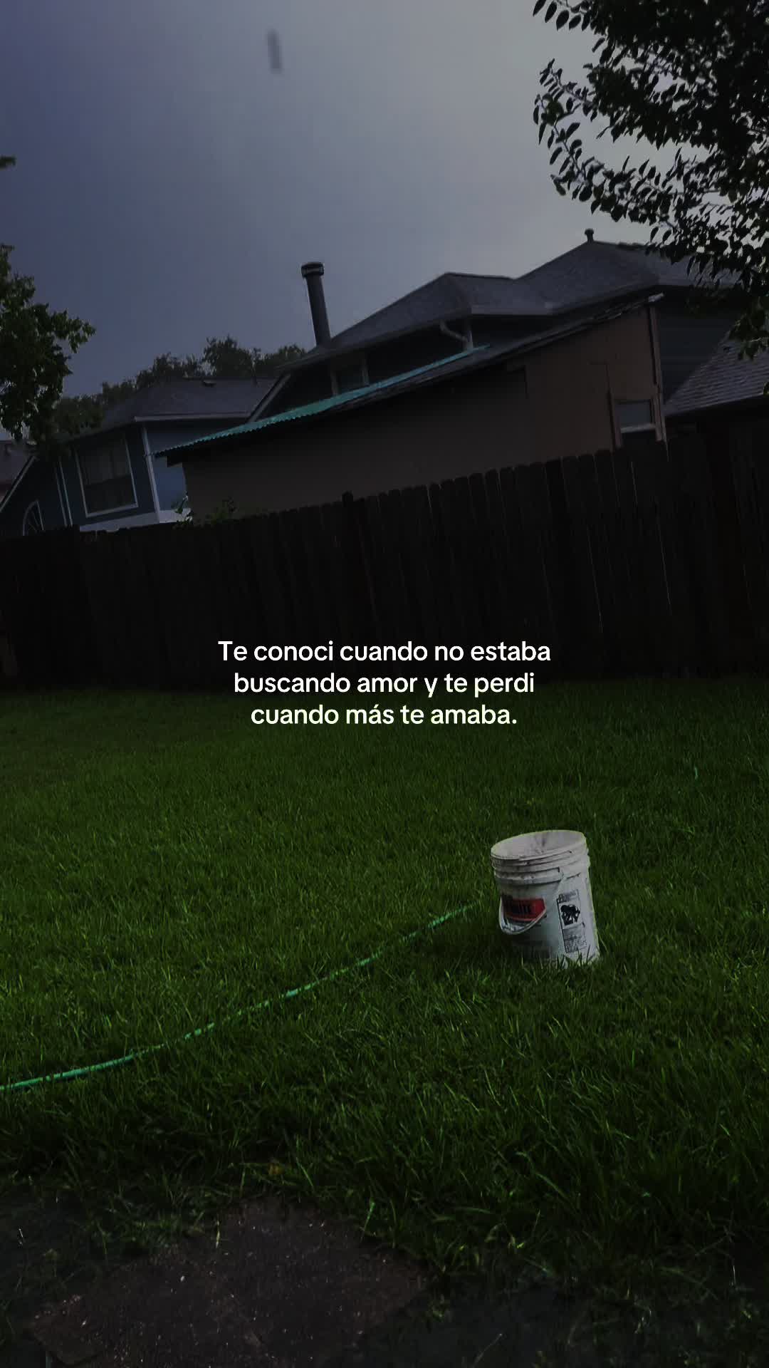 @𝒜𝒷𝑒𝒹𝓃𝑒𝑔𝑜🦦