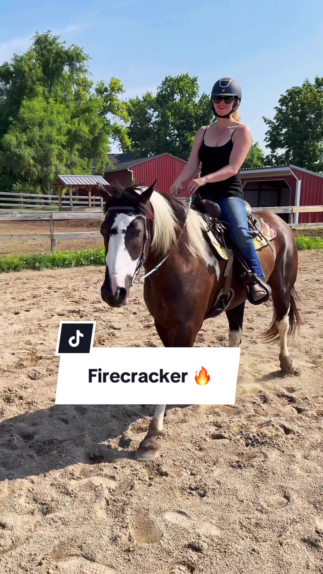 @Free Spirit Equestrian