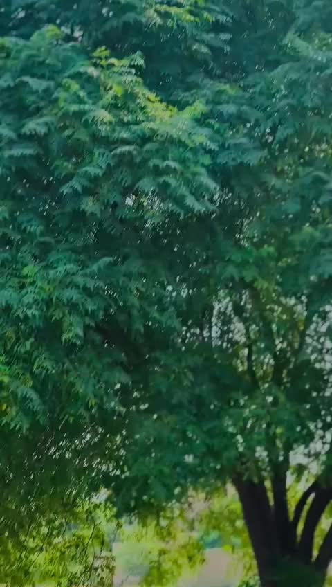 @Fardeen khan