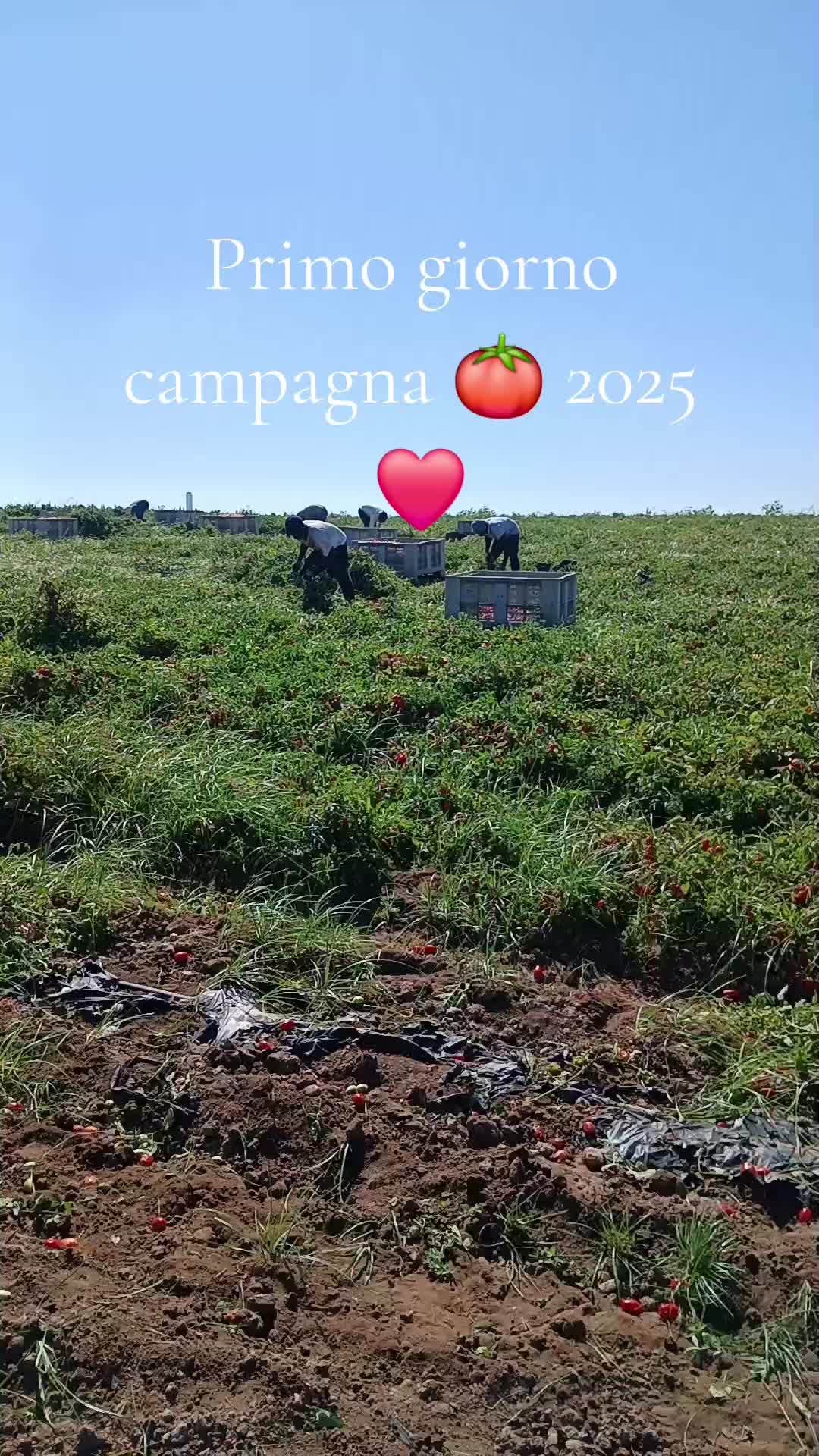 @pomodoro.22