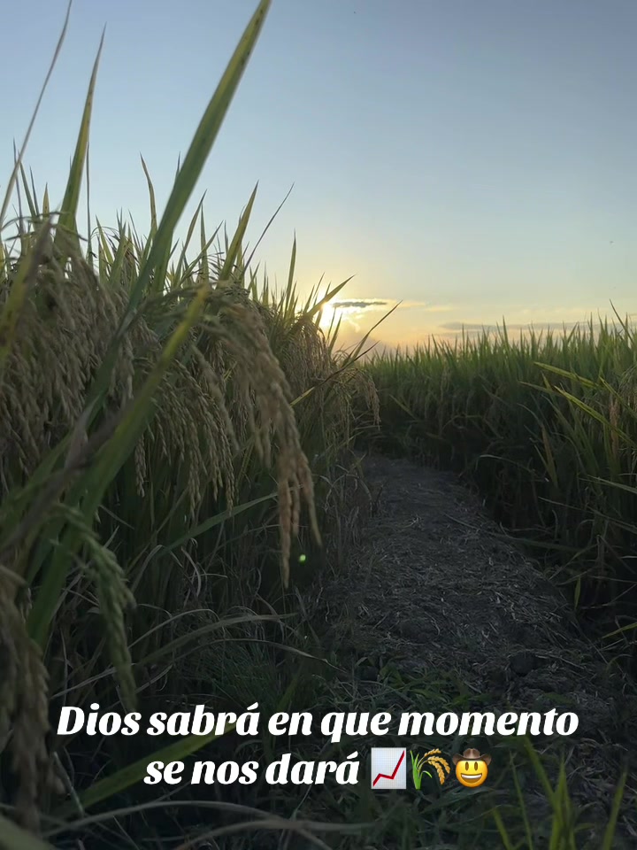 @Alejandro