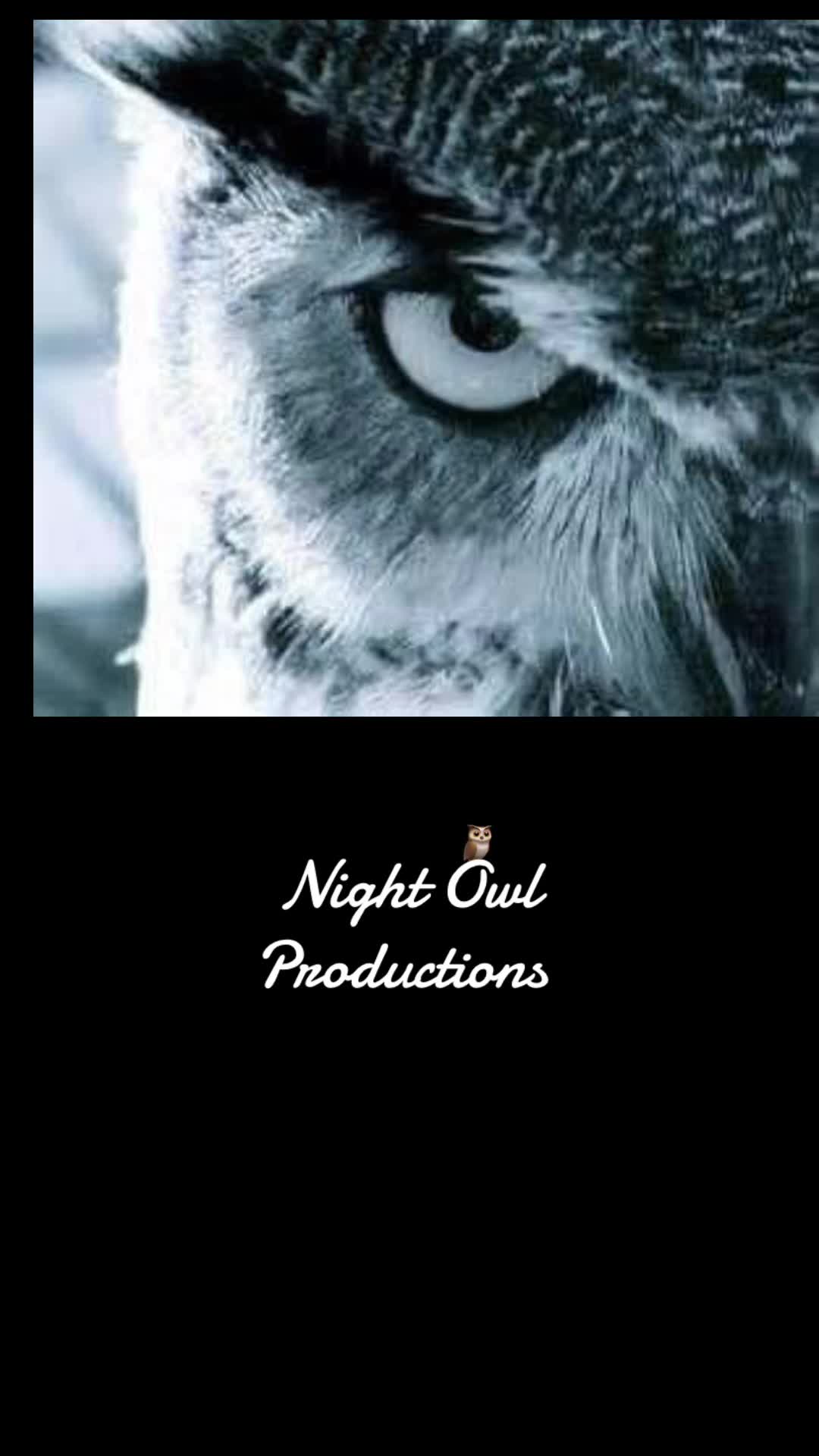 @Night Owl