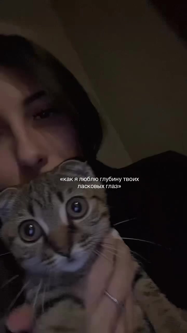 @Котик🧸