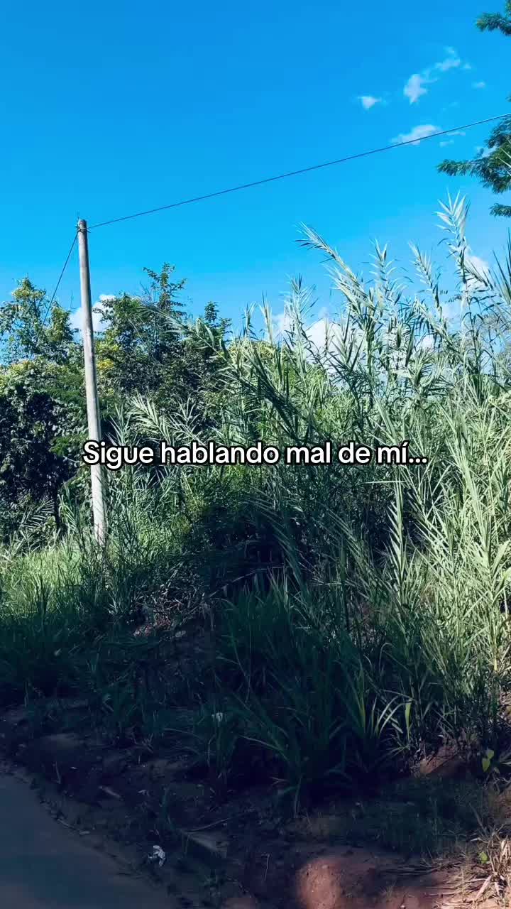 @vikitaaa28🍒🍸🐈&zwj;⬛✨