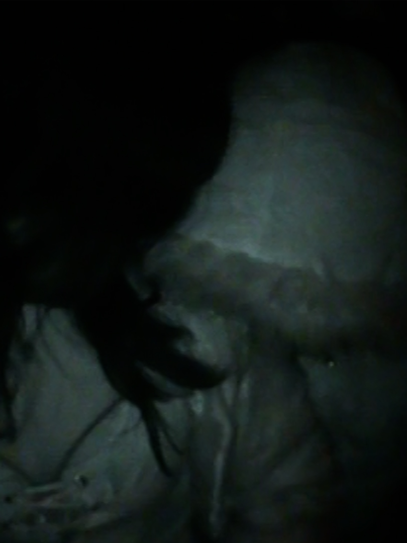 @Astaroth