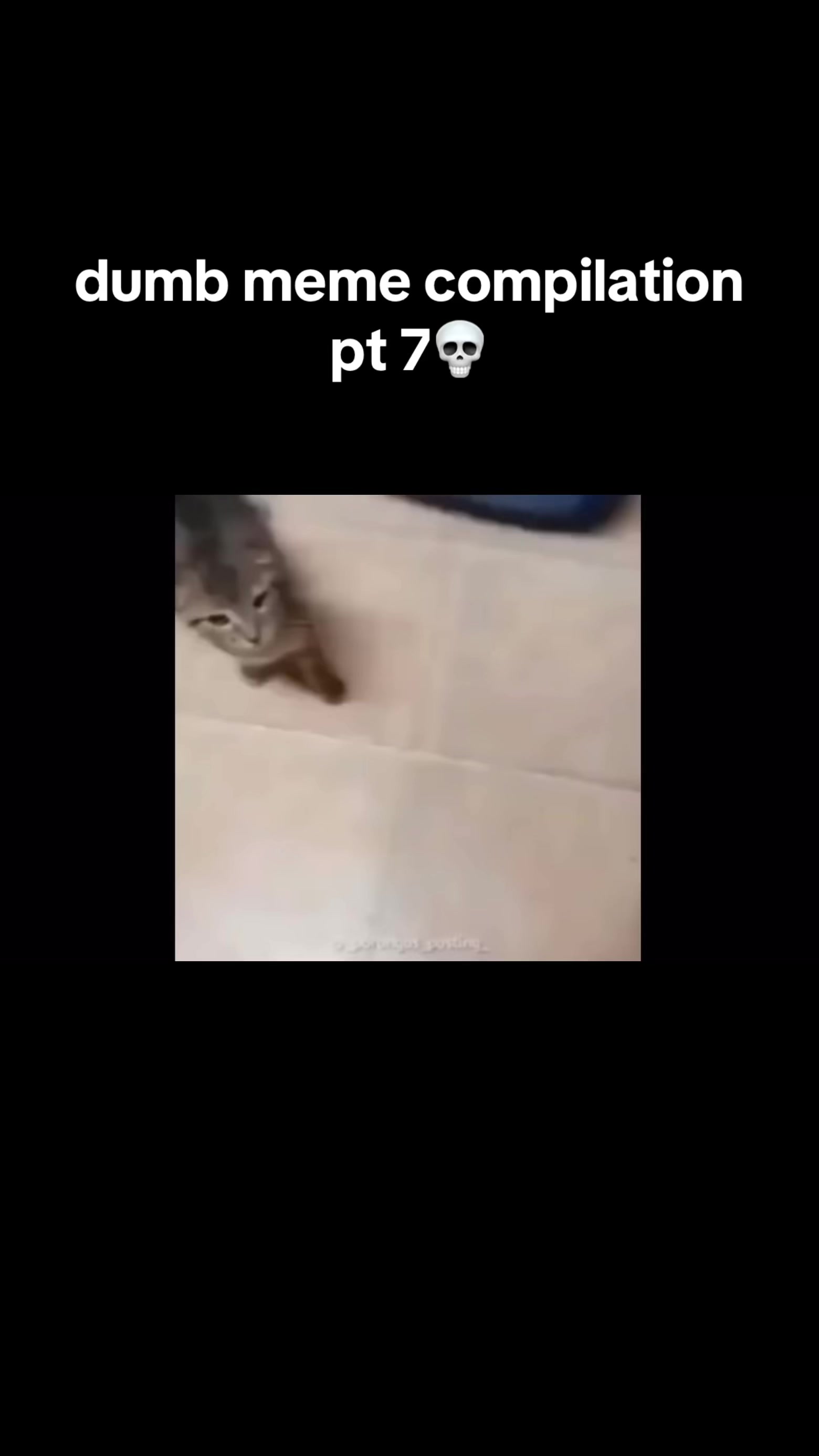@_randumbvids_