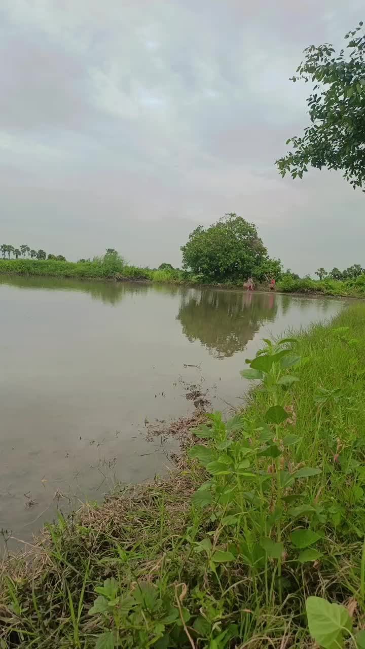 @Aung kyaw san