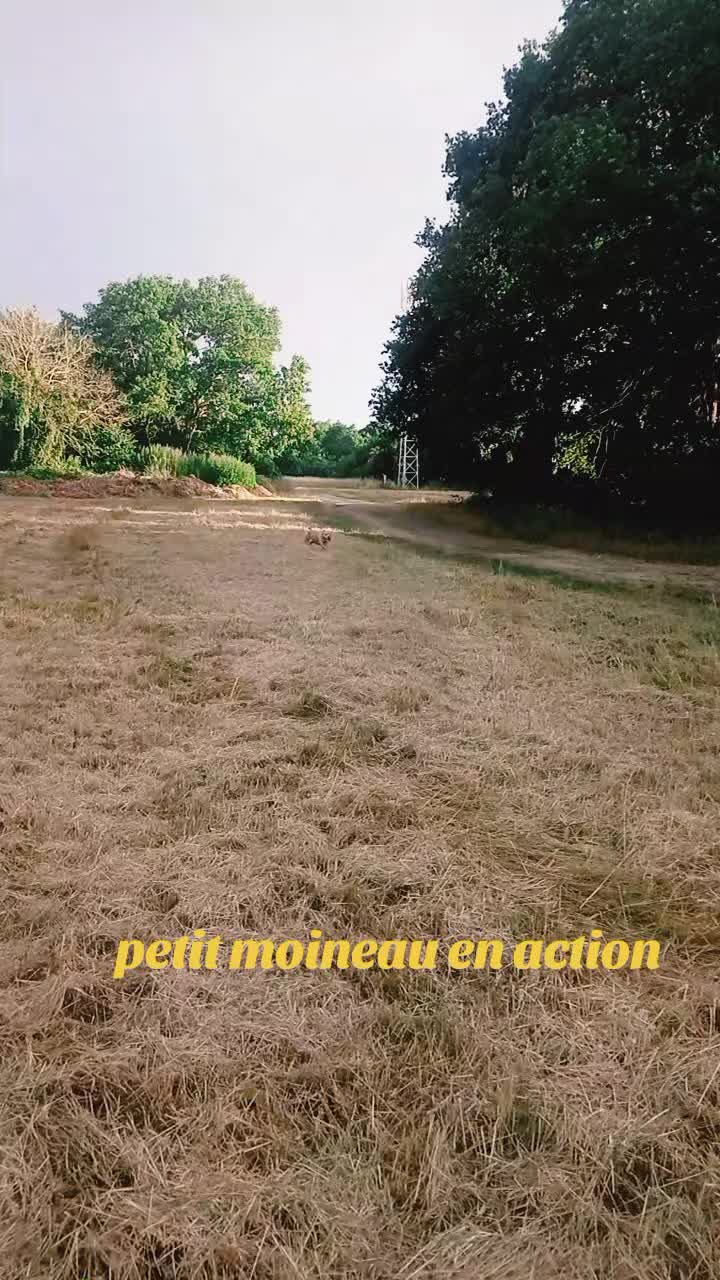 @mariospychophates