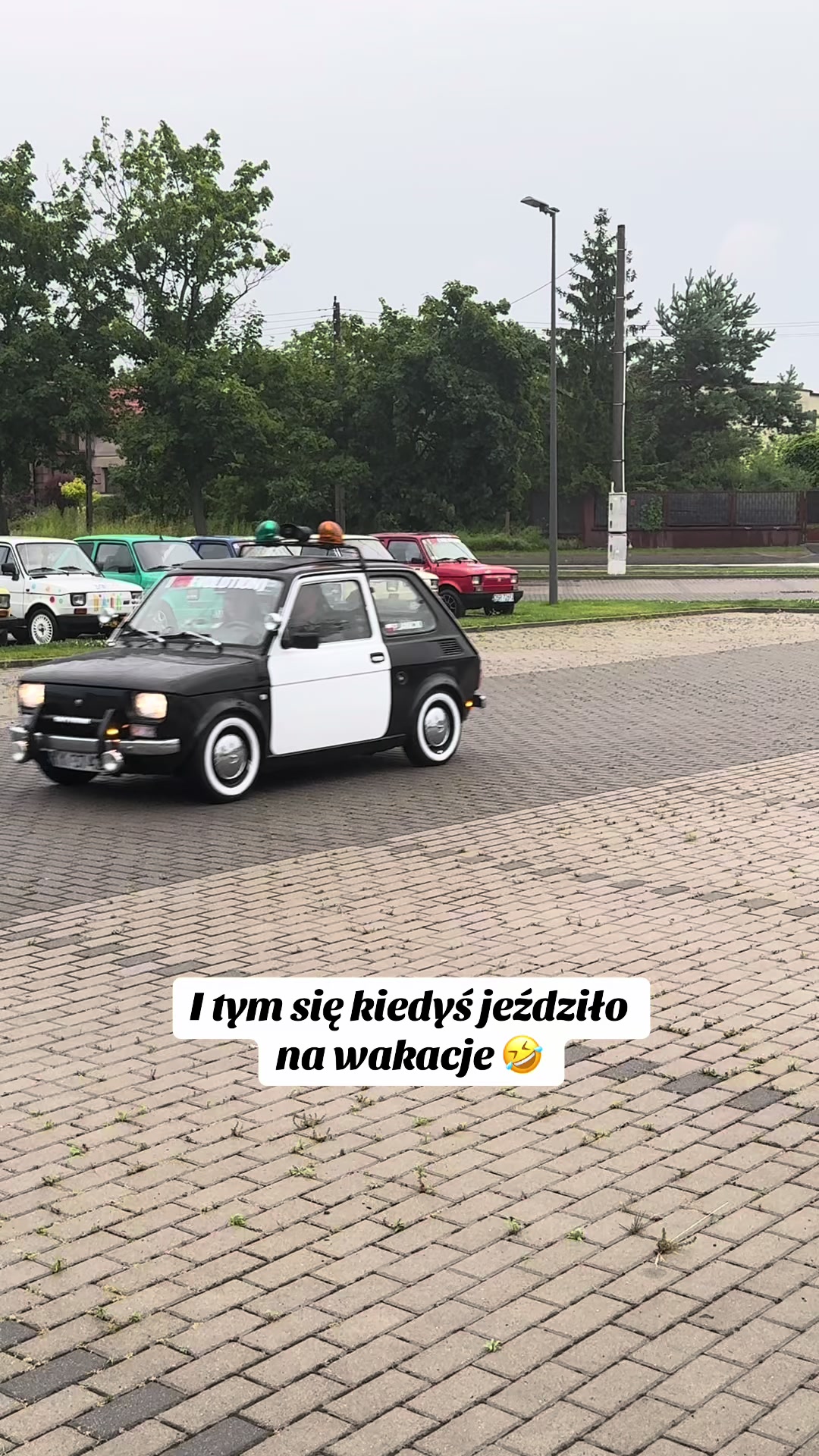 @Zooliday