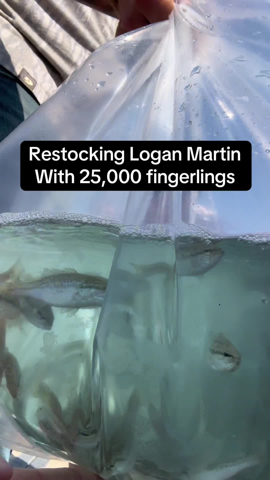 @Jleefishing
