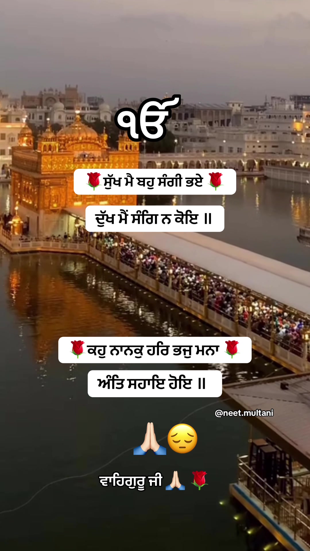 @neet.multani