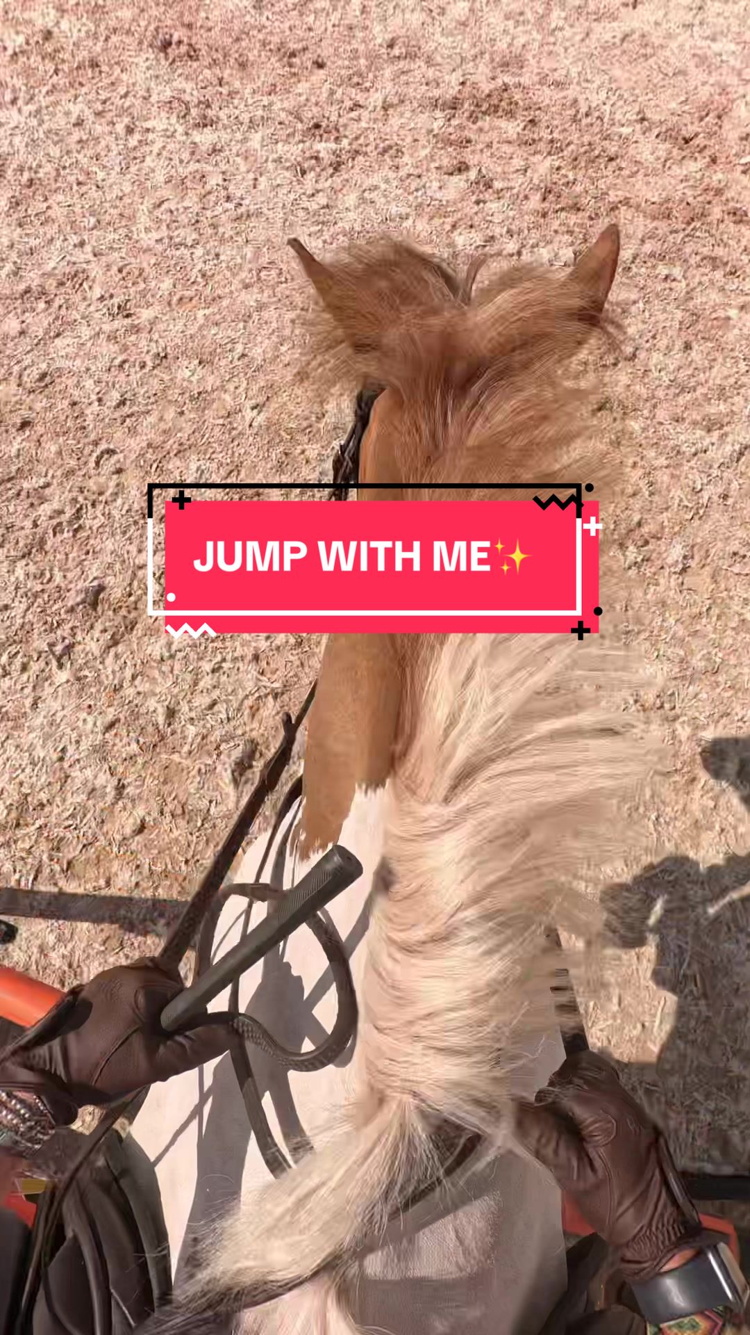 @annie-may