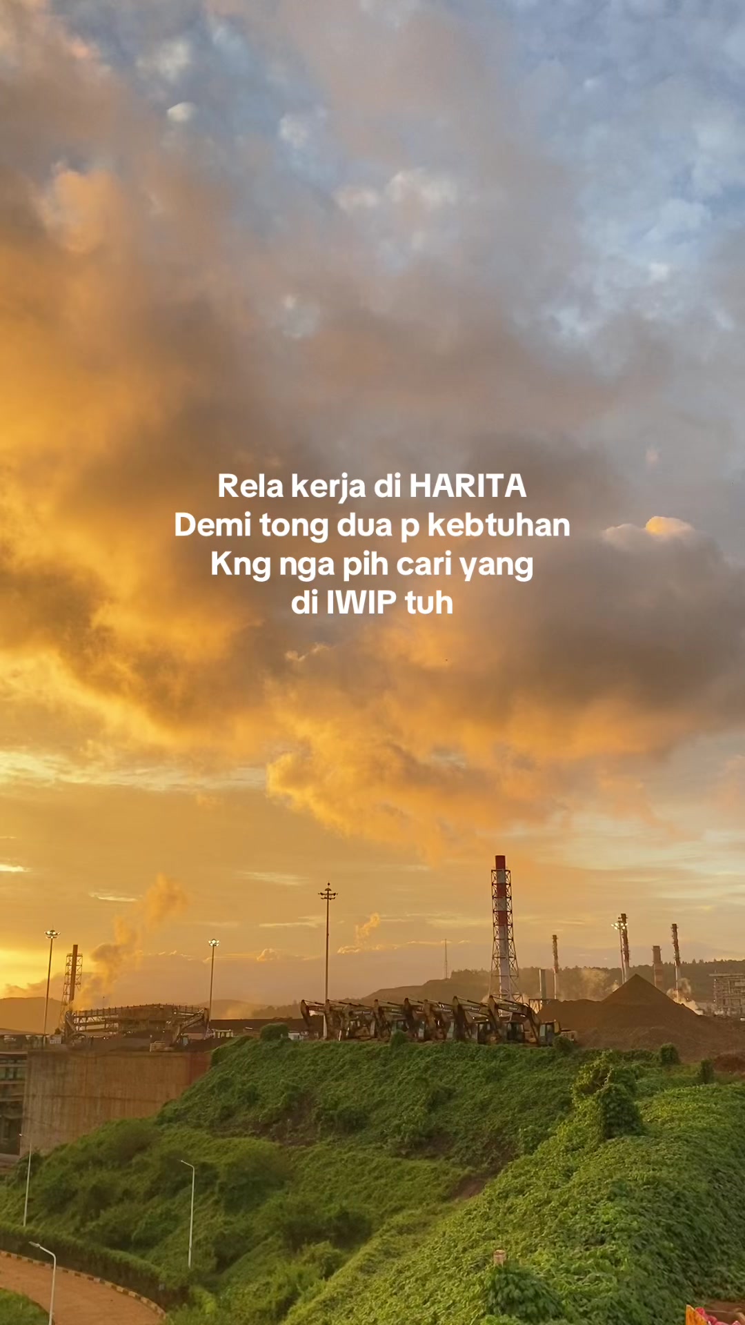 @Arvin🥦
