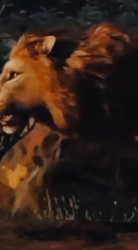 @🐲🍒👻...............🥷⛓️🌻💗