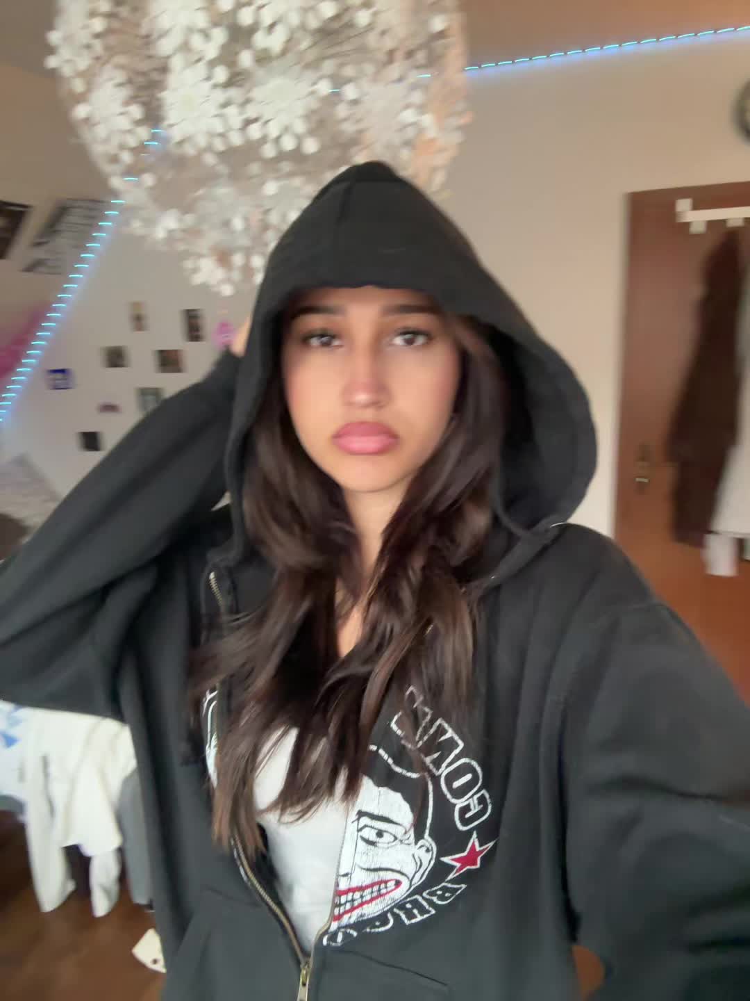 @fridgecookie