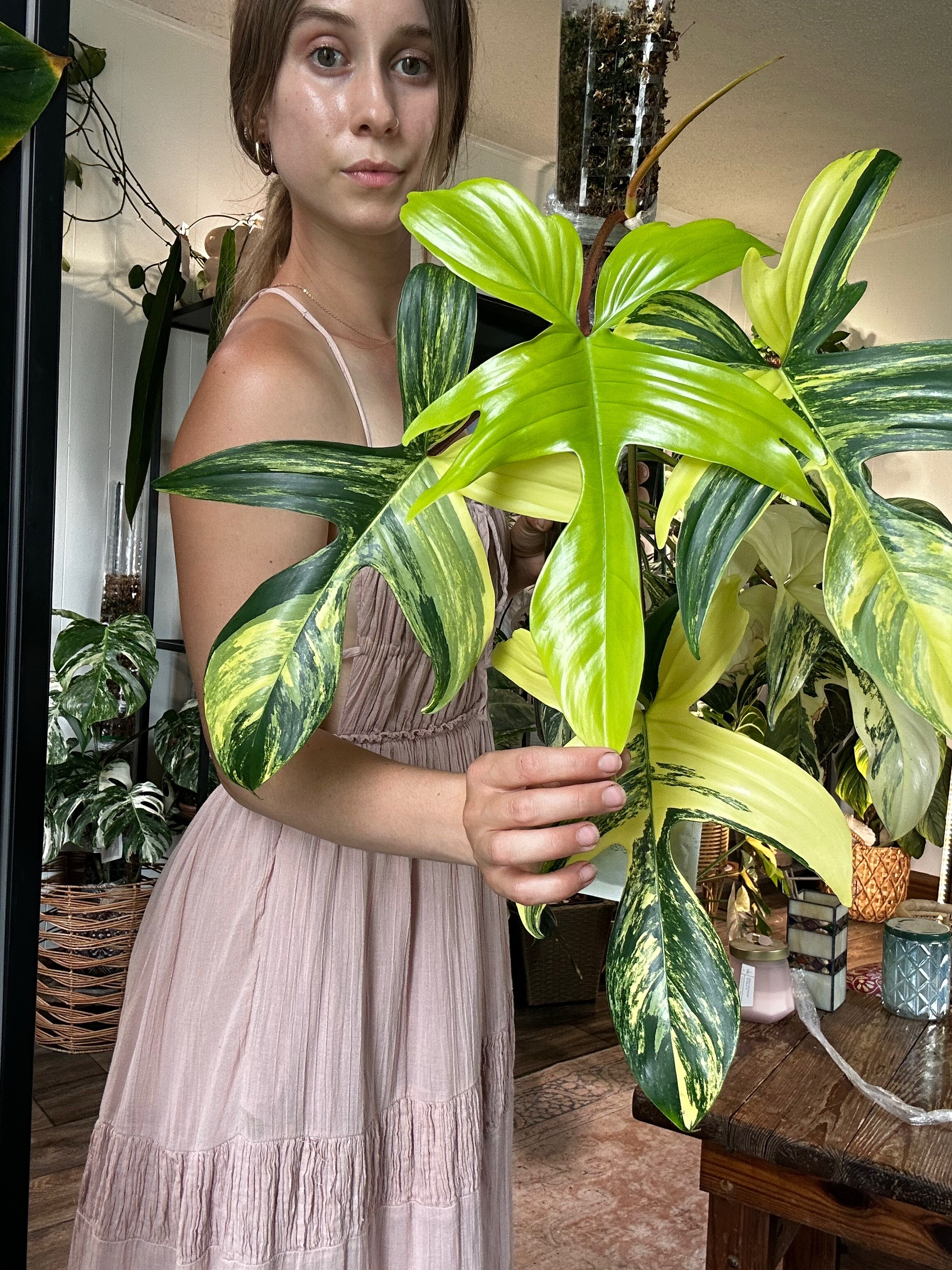 @theplantgirl_diaries