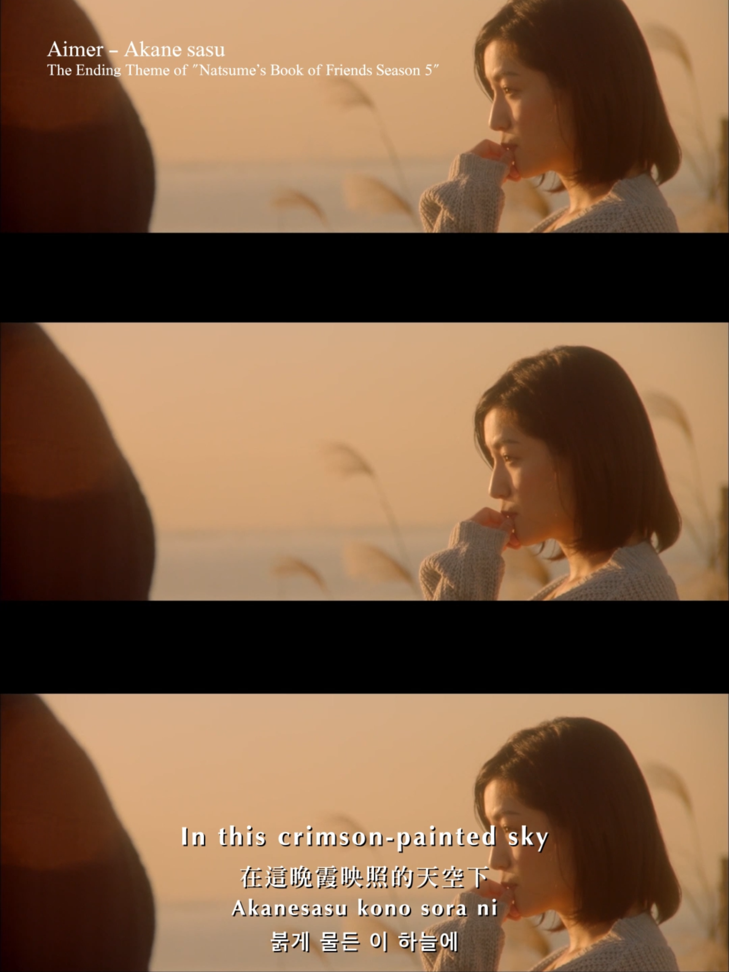 @Aimer