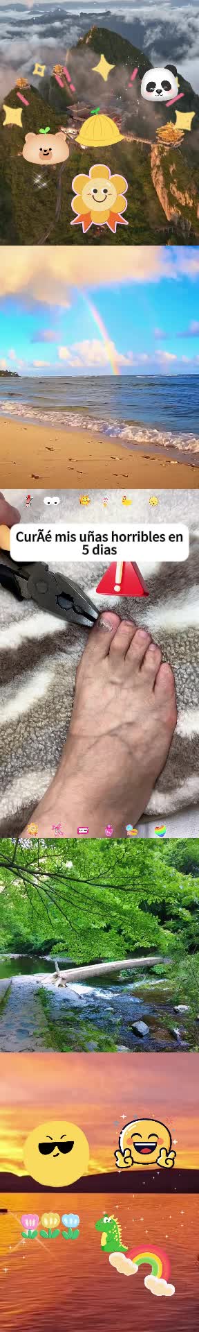 @xsfts8923