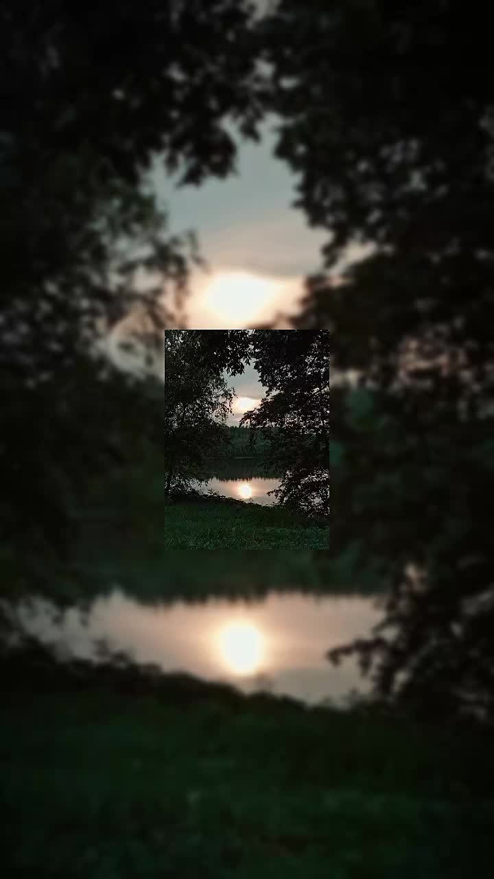@😈🌲ЛЕСНИЧИЙ | СЛАВЯНИН🐻🐺
