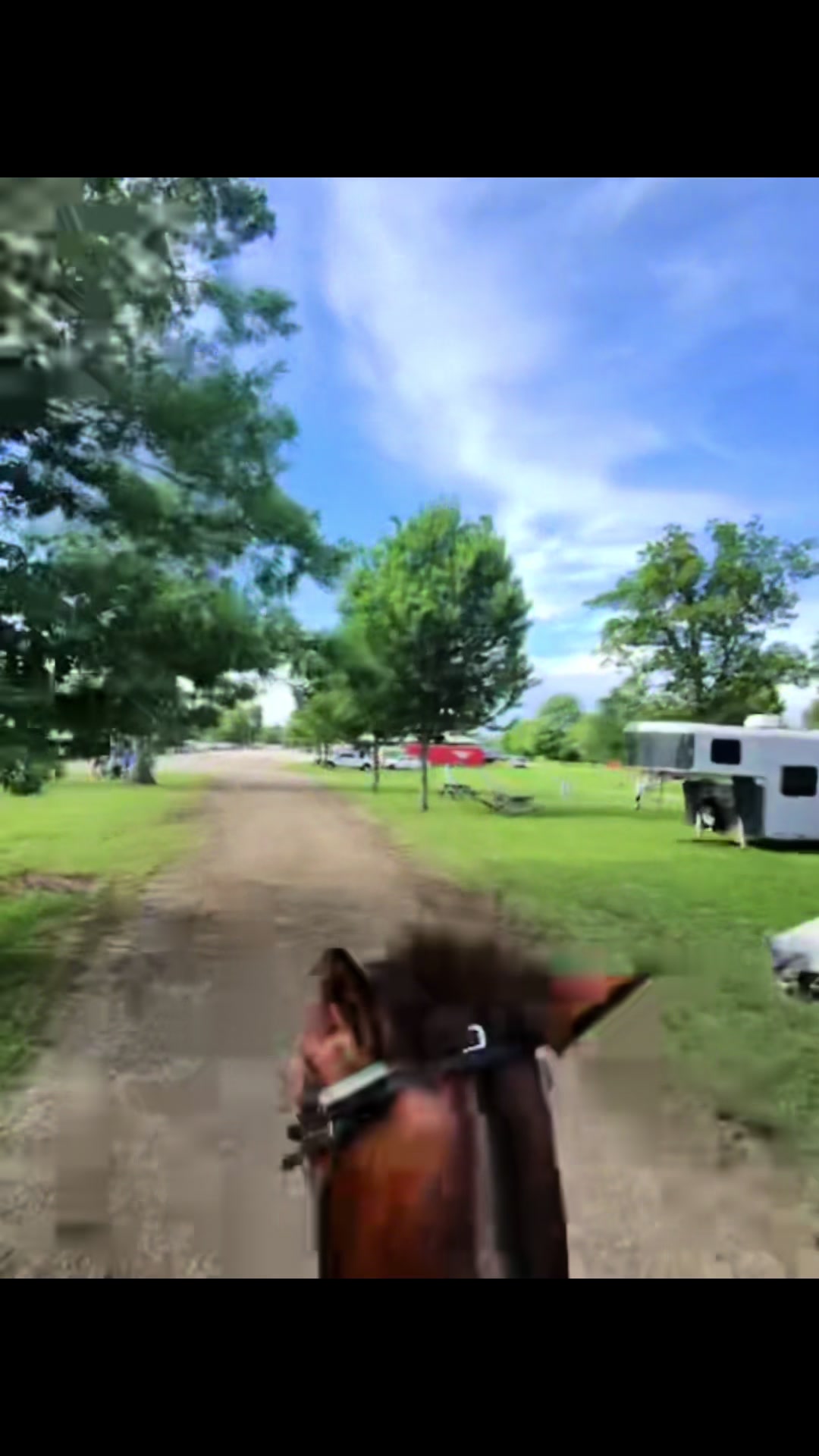 @Devin White 💚 GetLiveStables