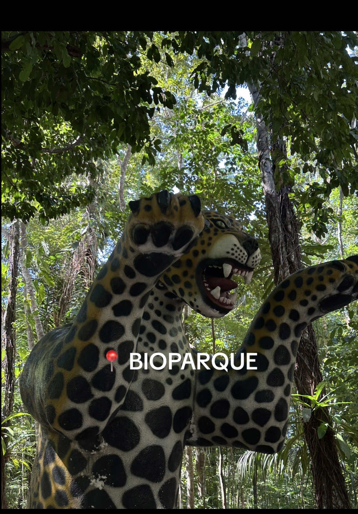 @MA&Iacute;SE AGUIAR