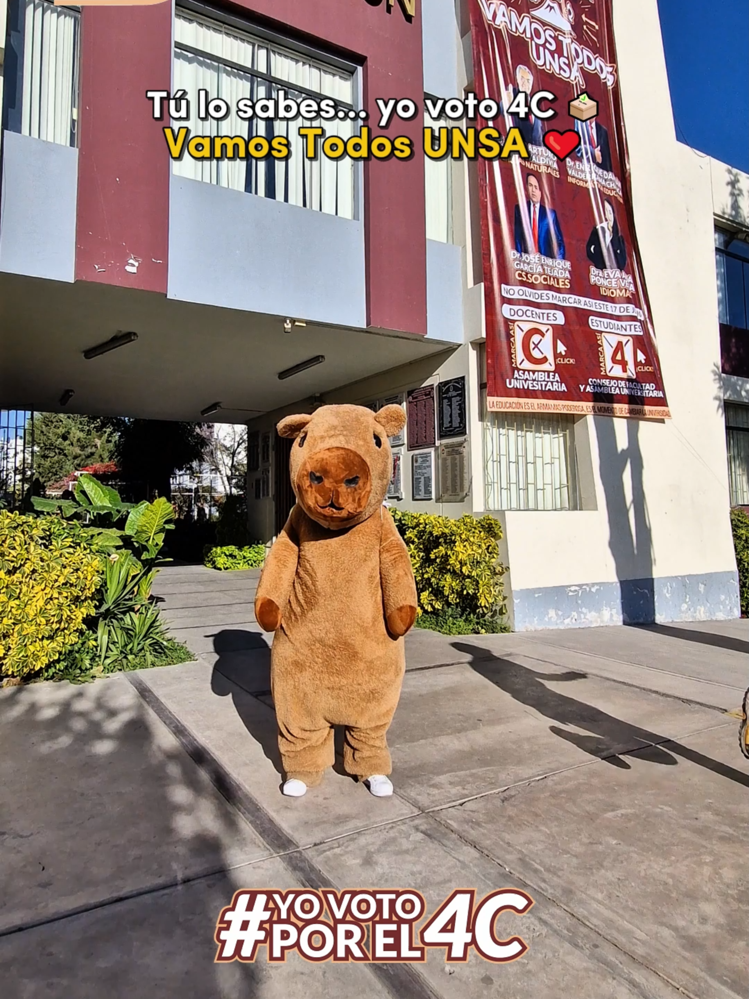 @Vamos Todos Unsa