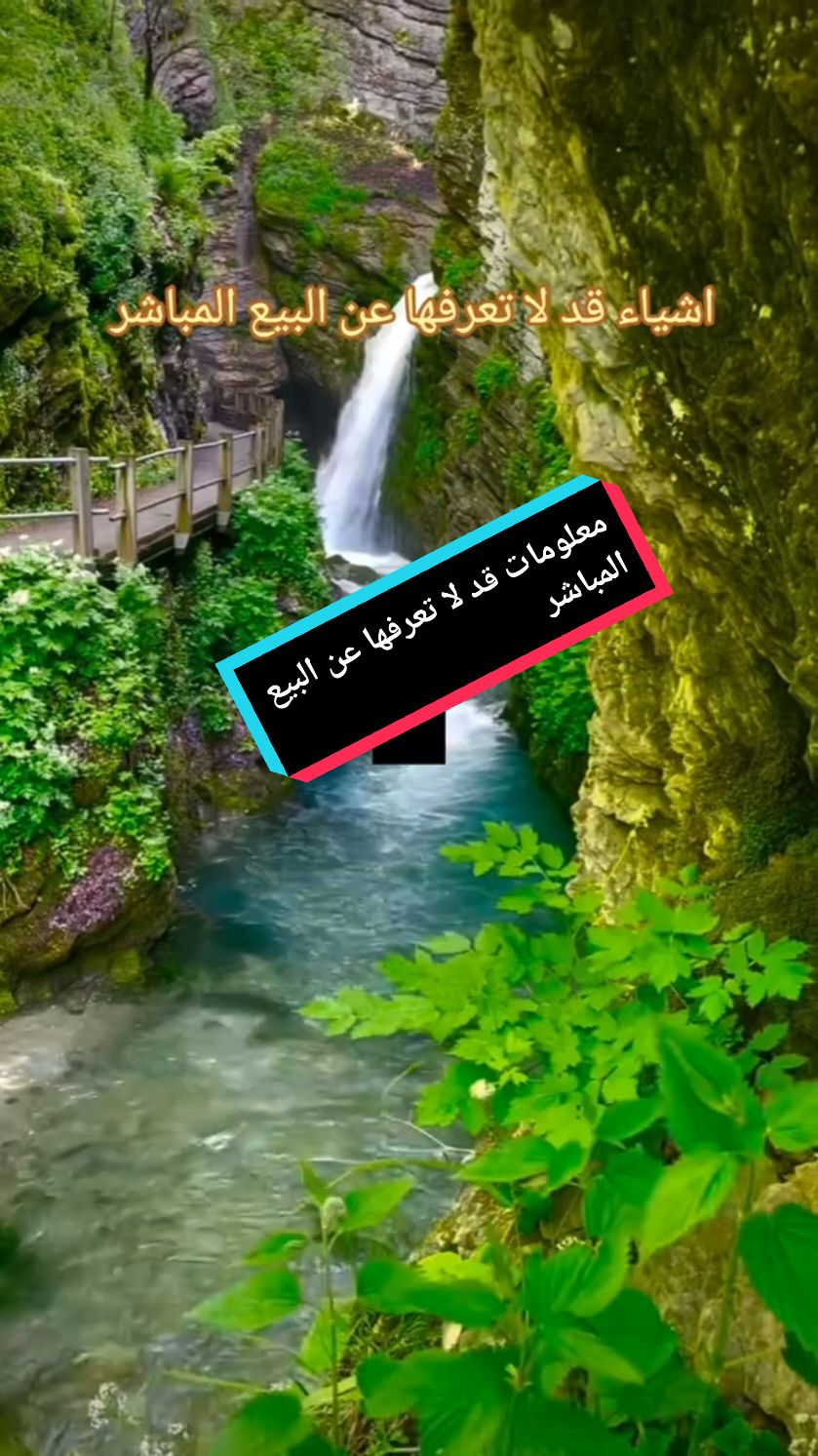 @مشروعك جاهز مع علي عبد الباقي