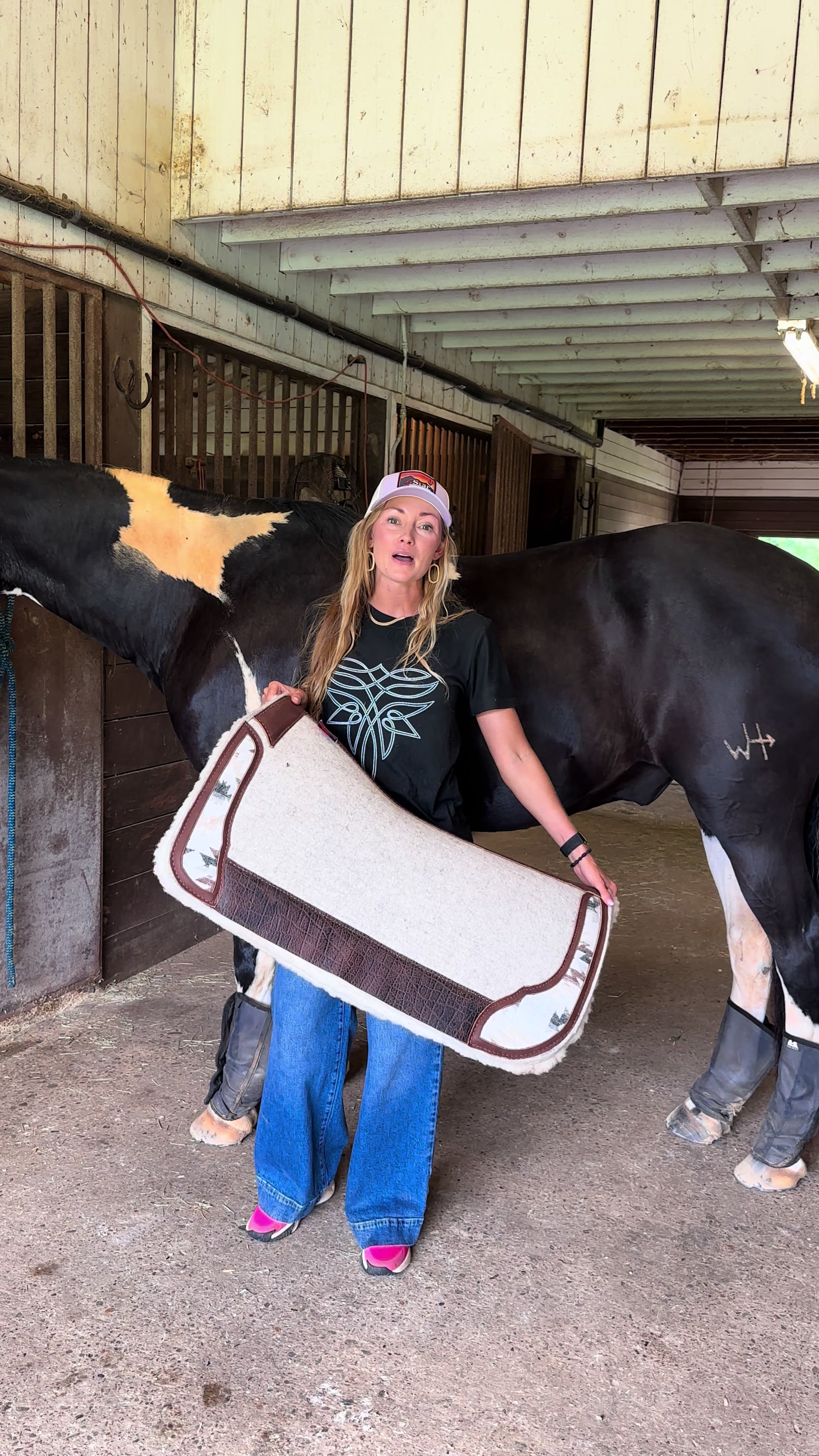 @5 Star Equine