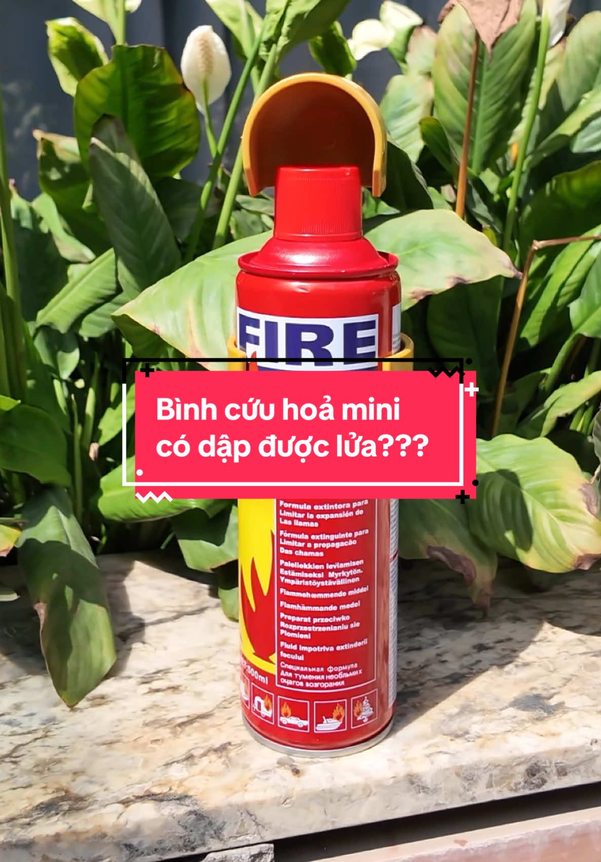 @Hồng Quế Review