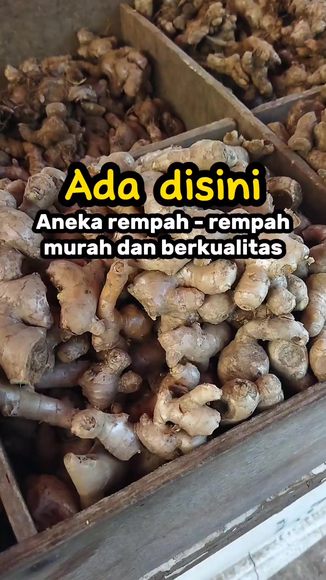 @arief elrasya