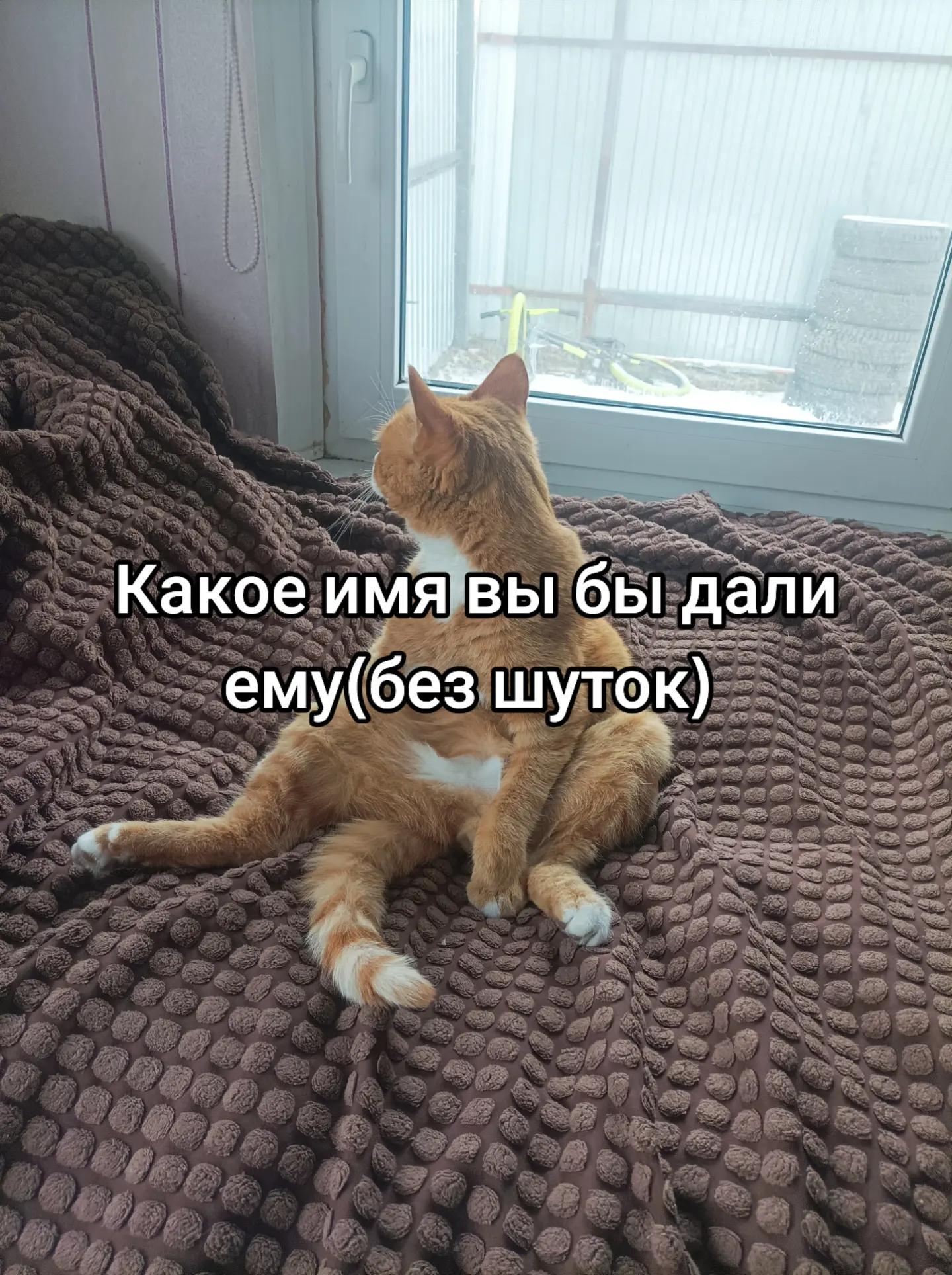 @Доктор Врач • друзья