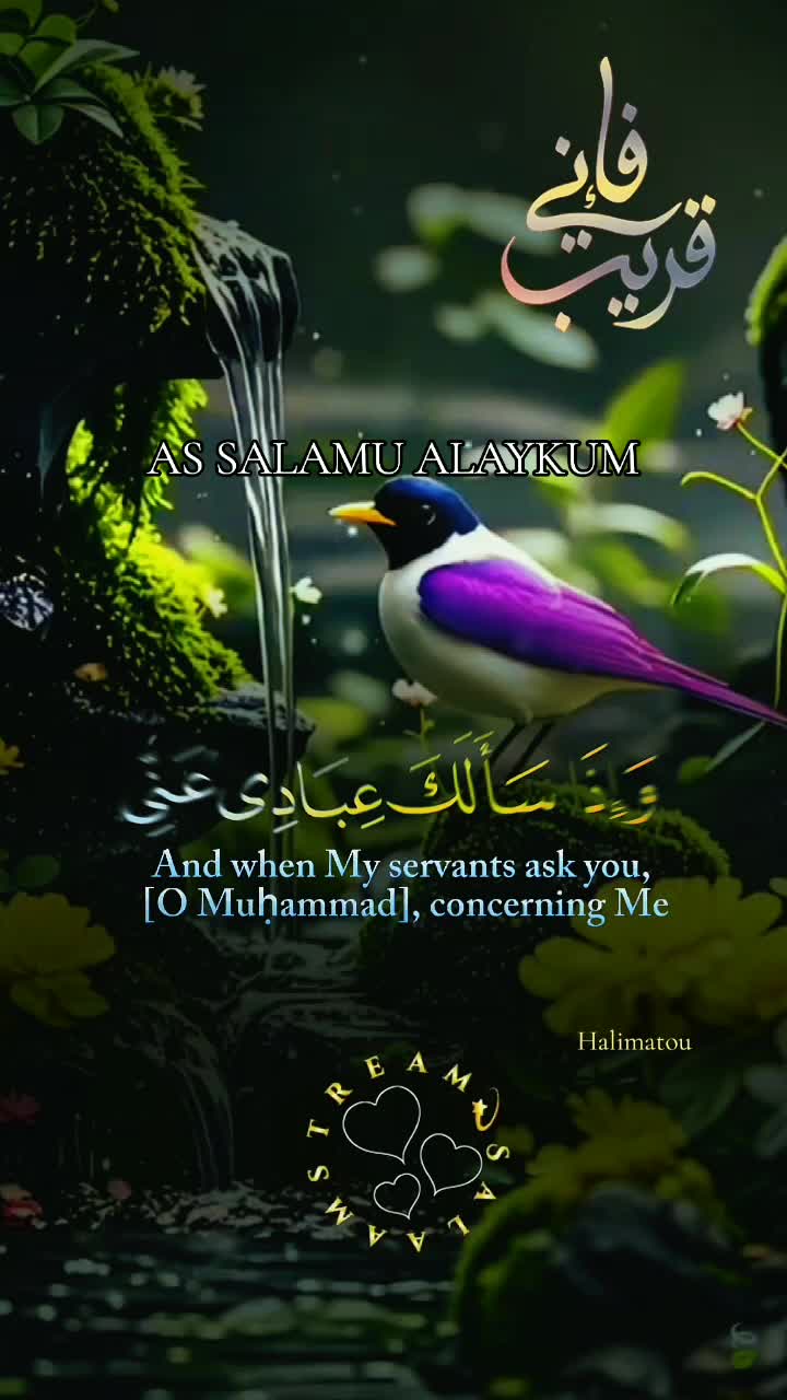 @Halima