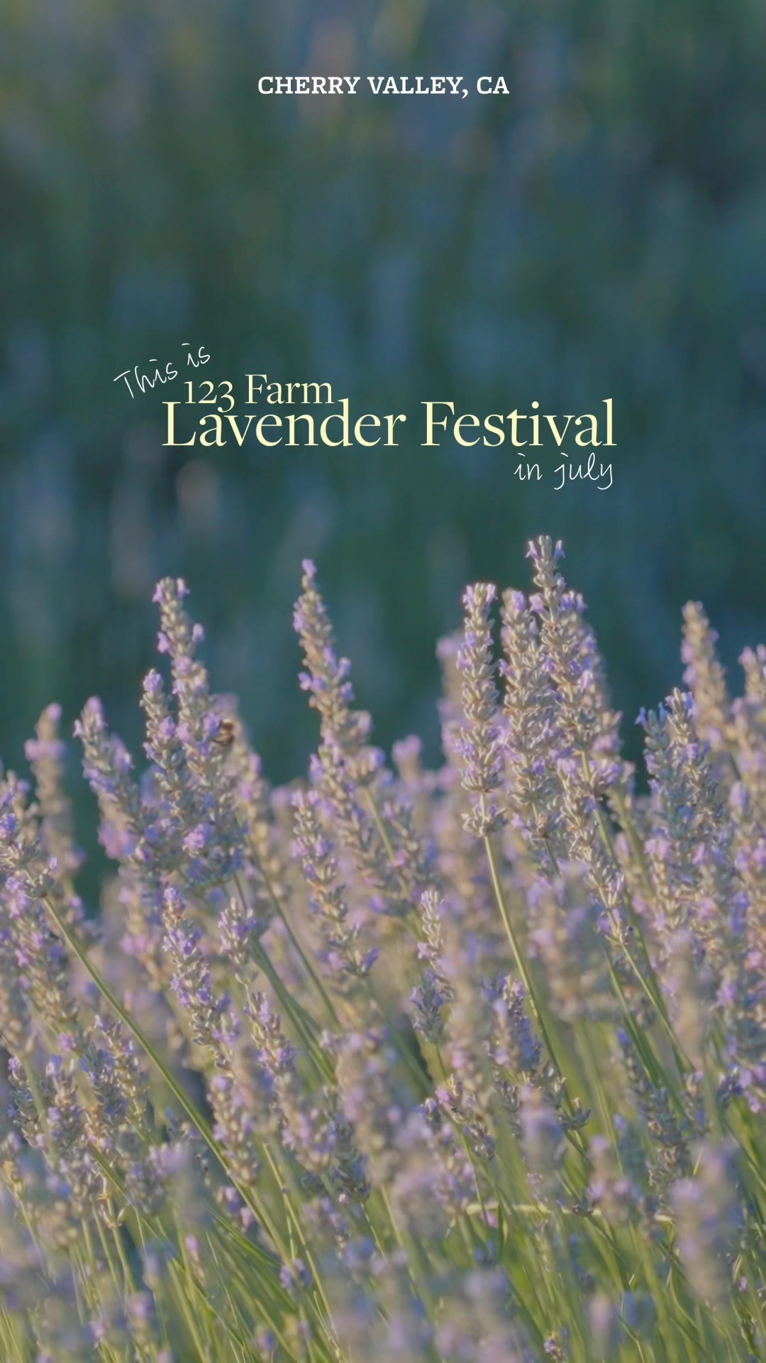 @123farm