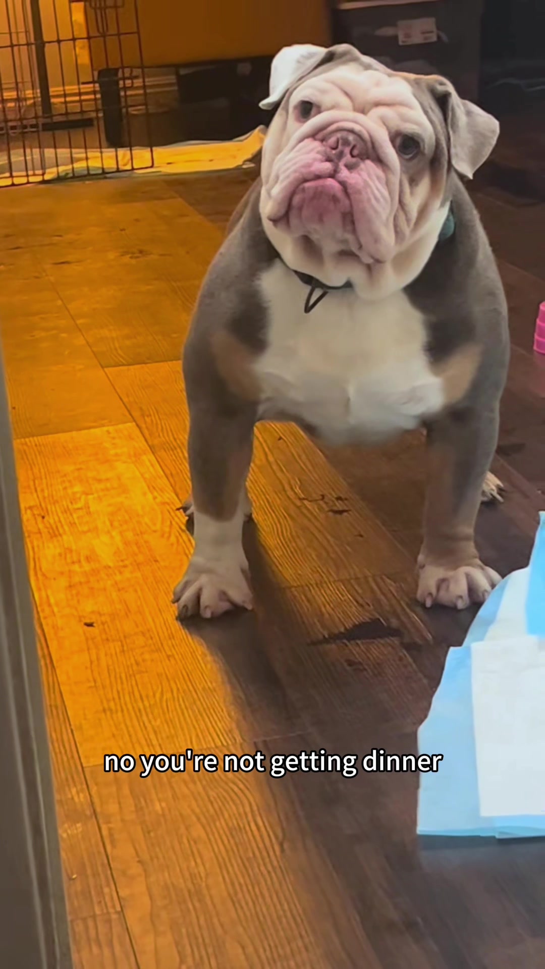 @TvTuppy