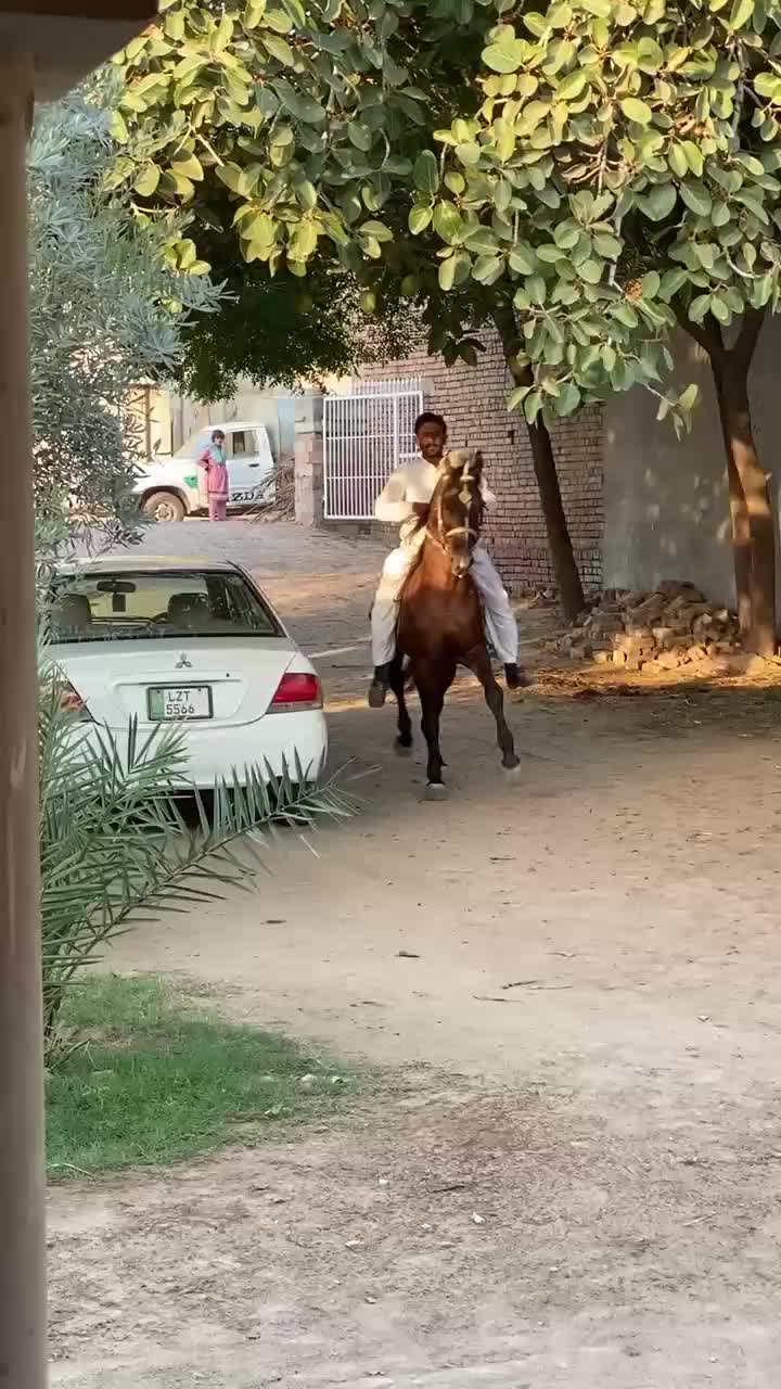 @احمد گل نمبر دار