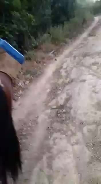 @Lucesita Salazar