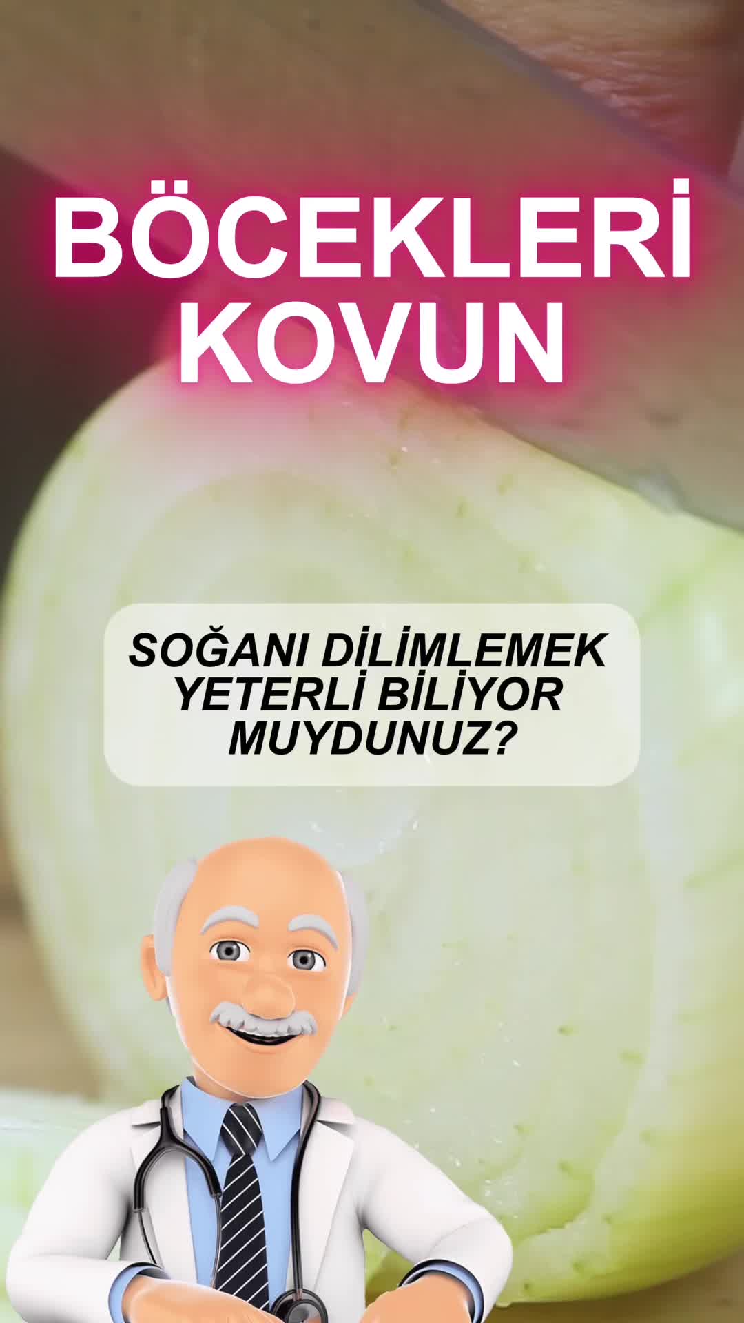 @Bilgi kurdum
