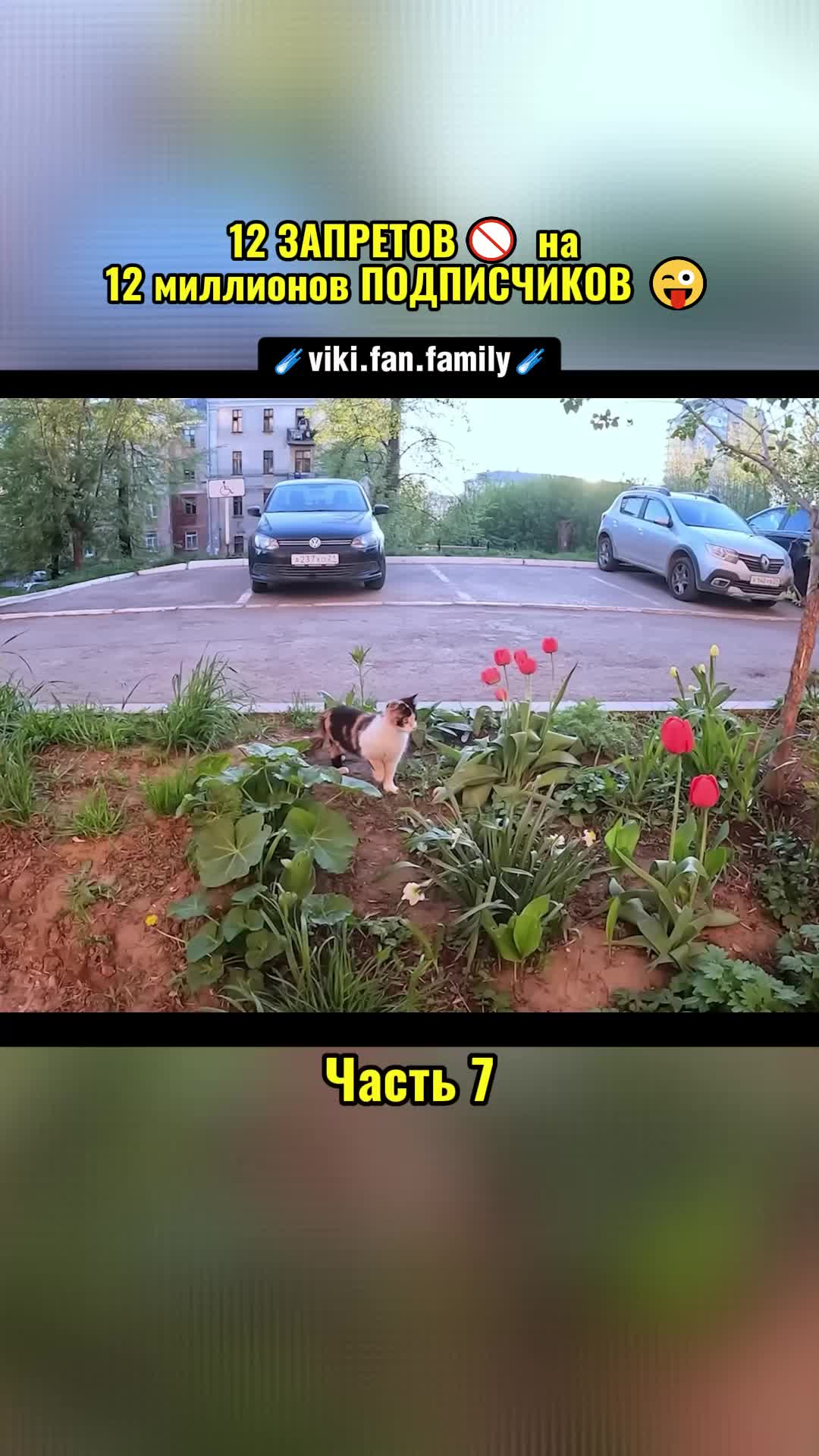 @Viki Fan Family
