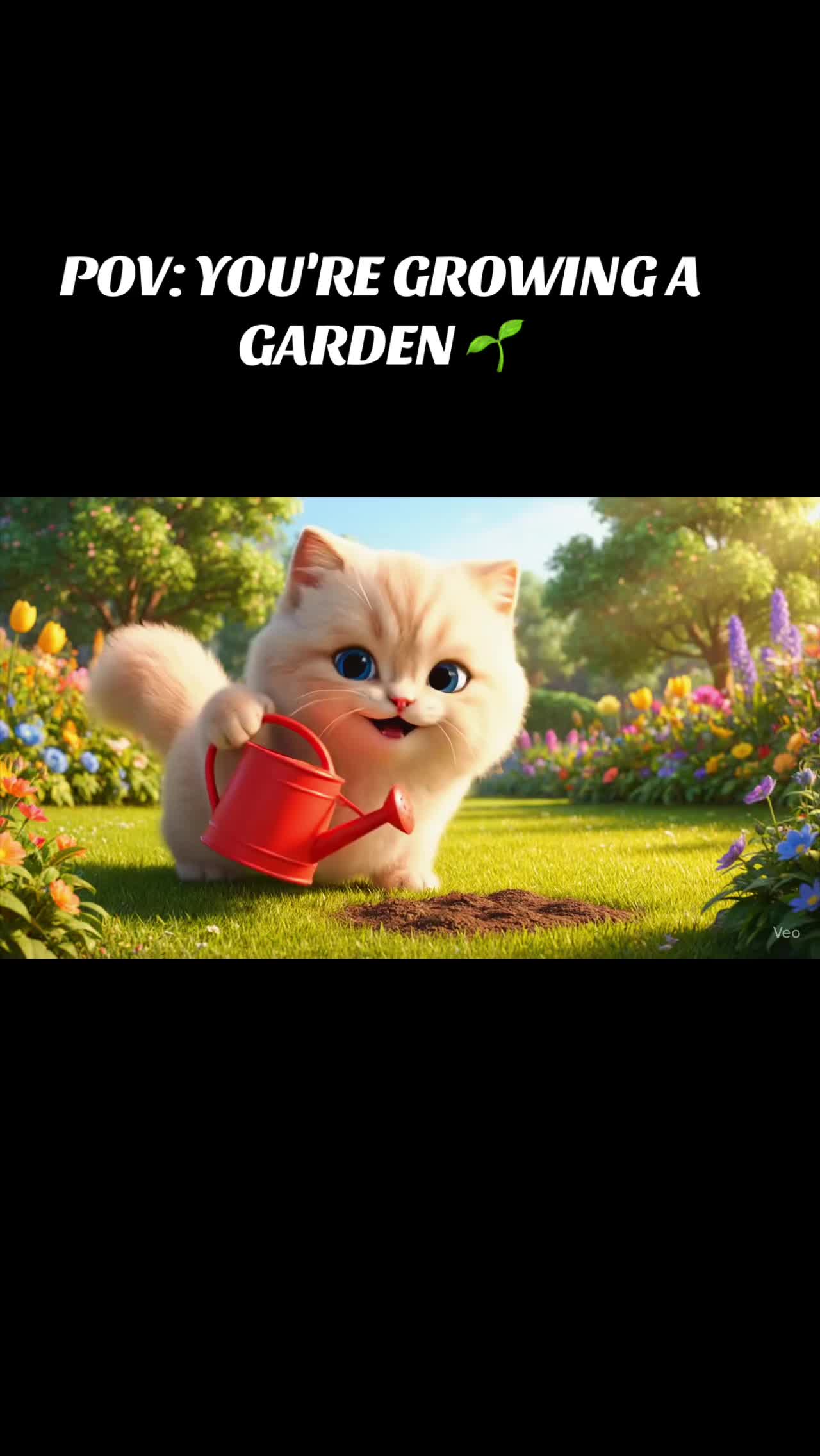 @Akiro the Cat 😽
