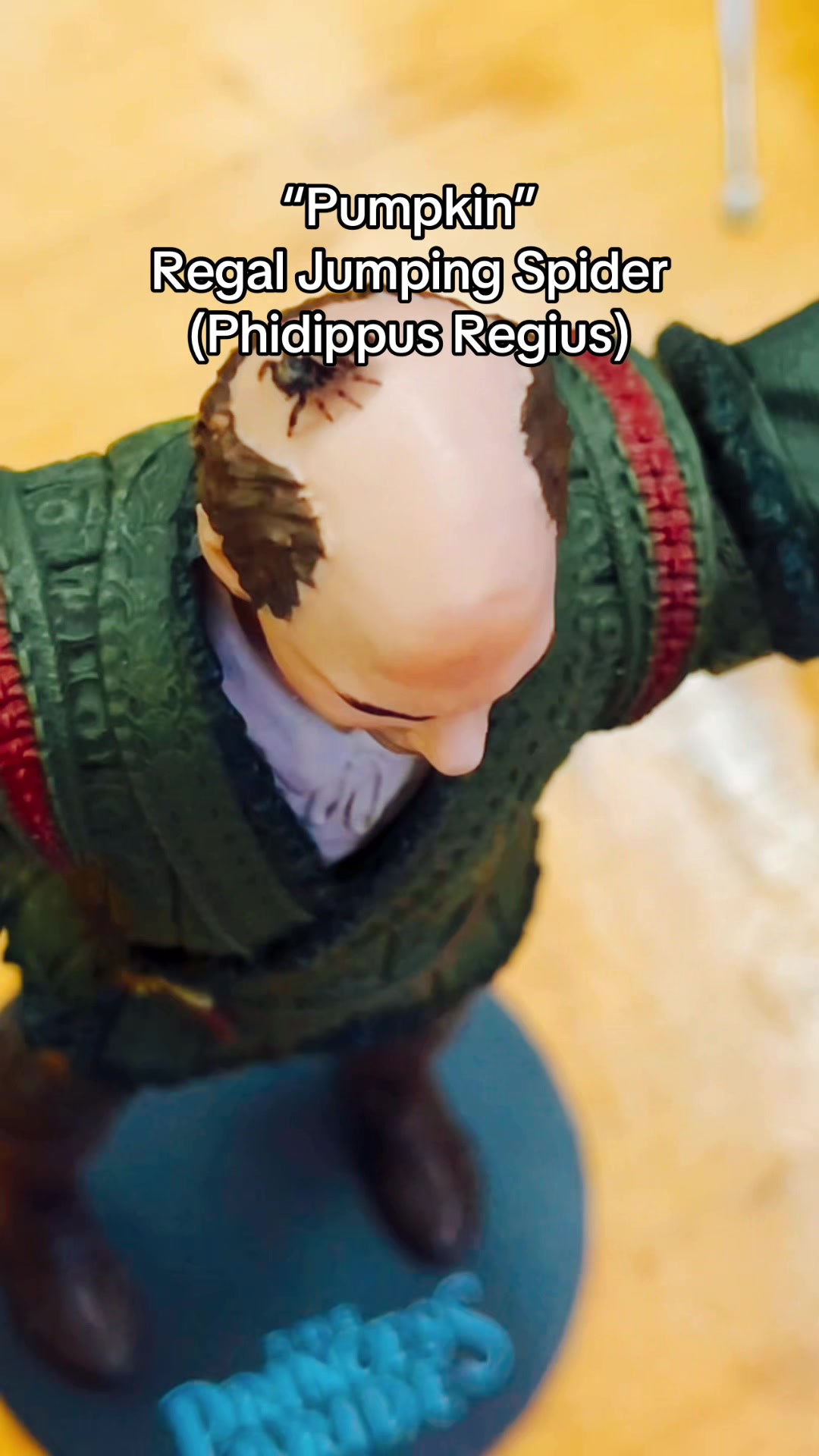 @tolkienthegreen