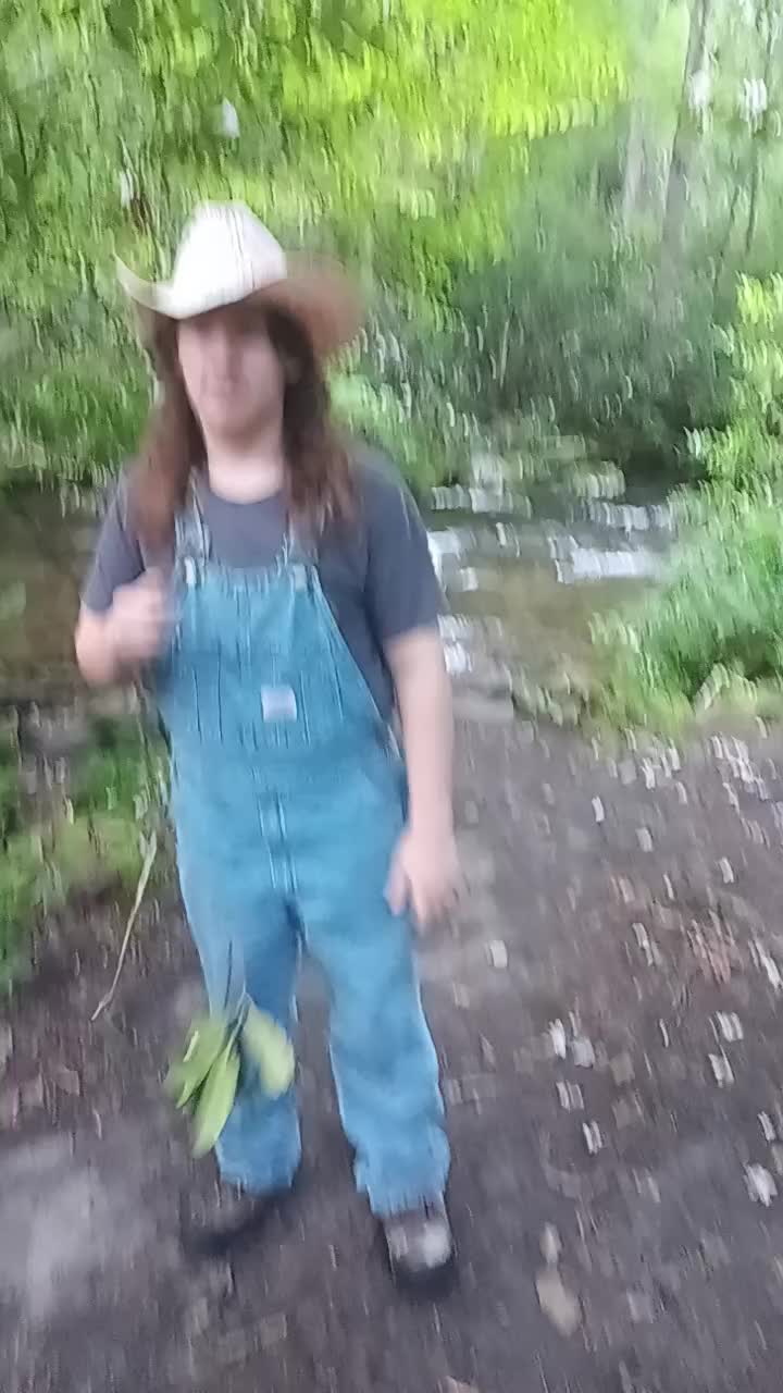 @trailerpark
