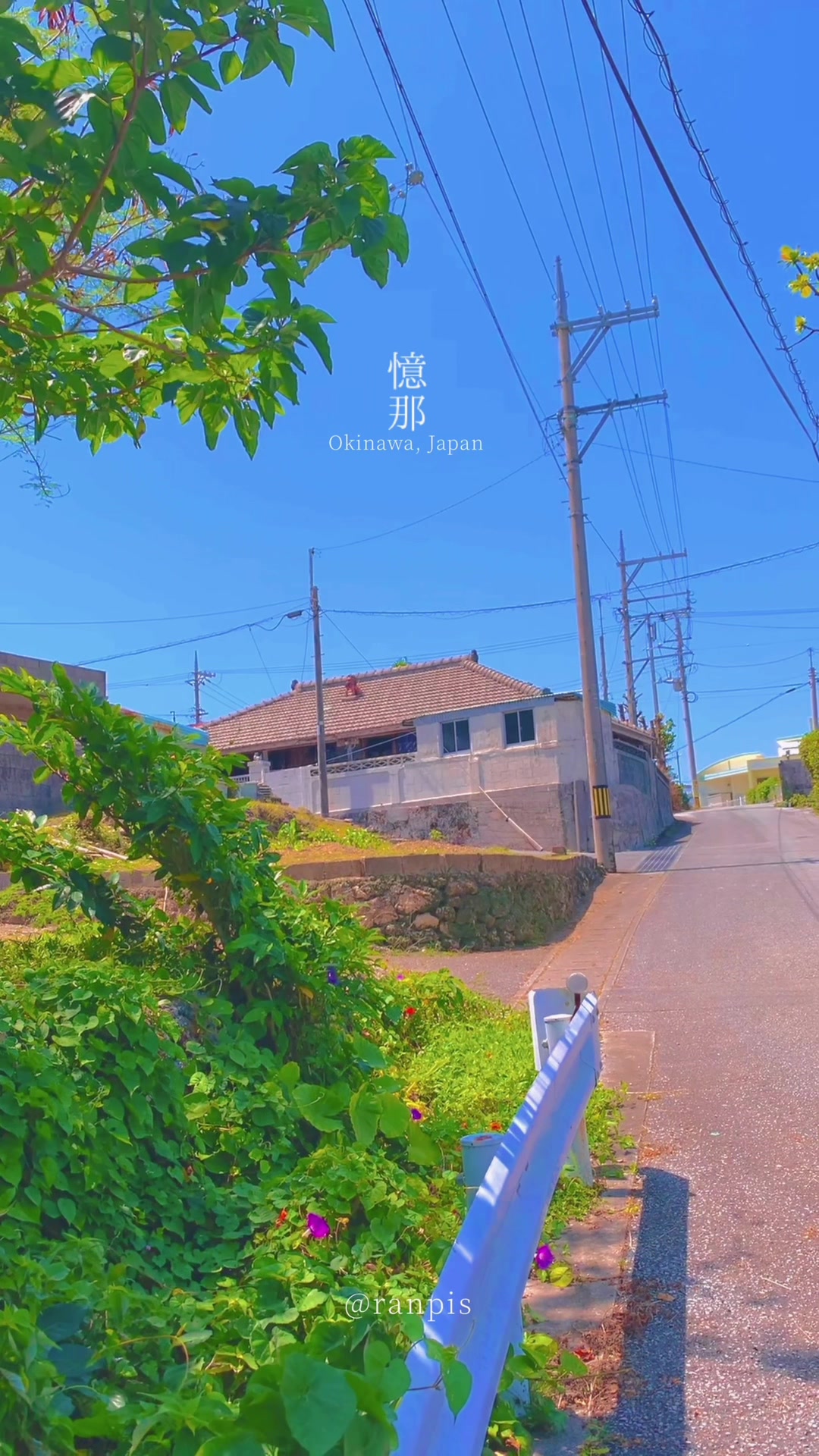 @ranpis