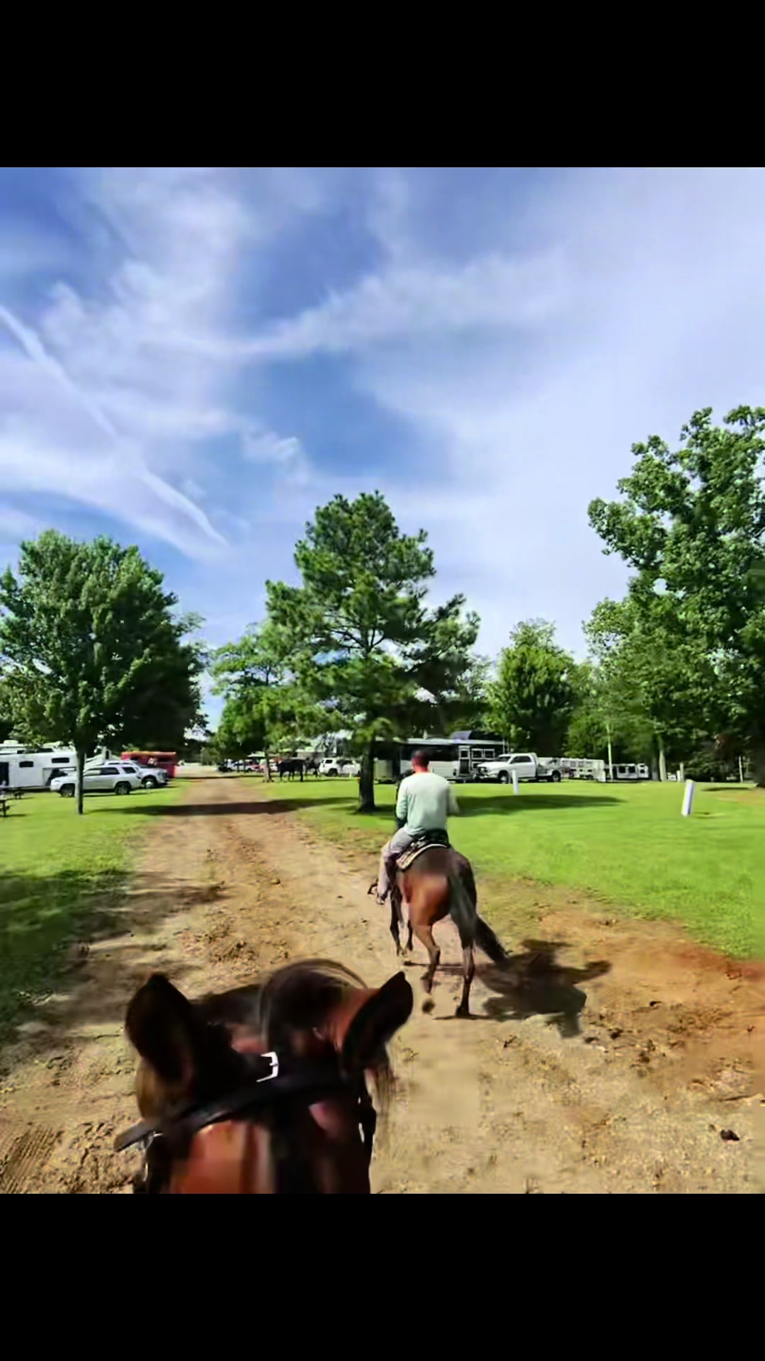 @Devin White 💚 GetLiveStables